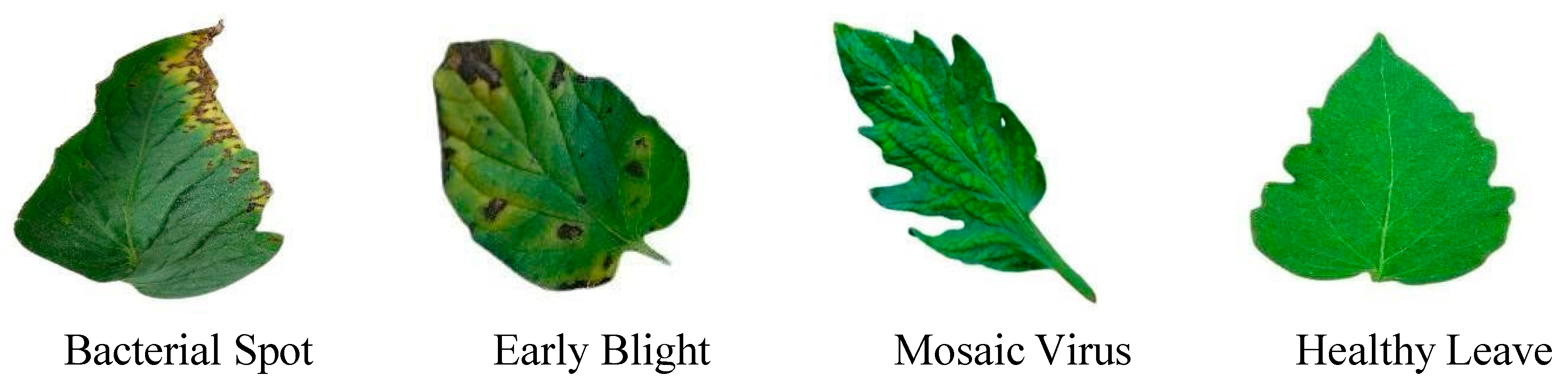 Preprints 163825 g001