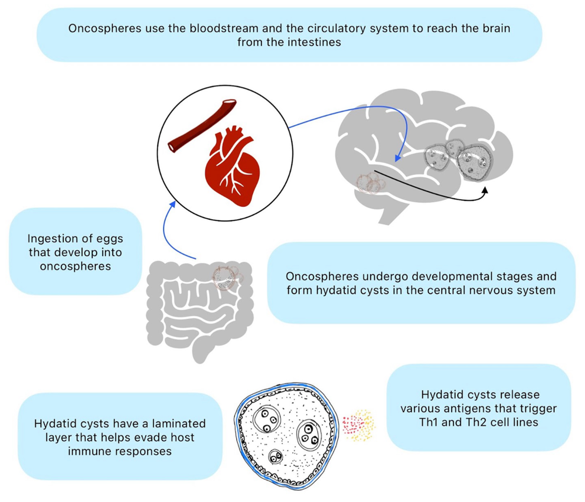 Preprints 142632 g002