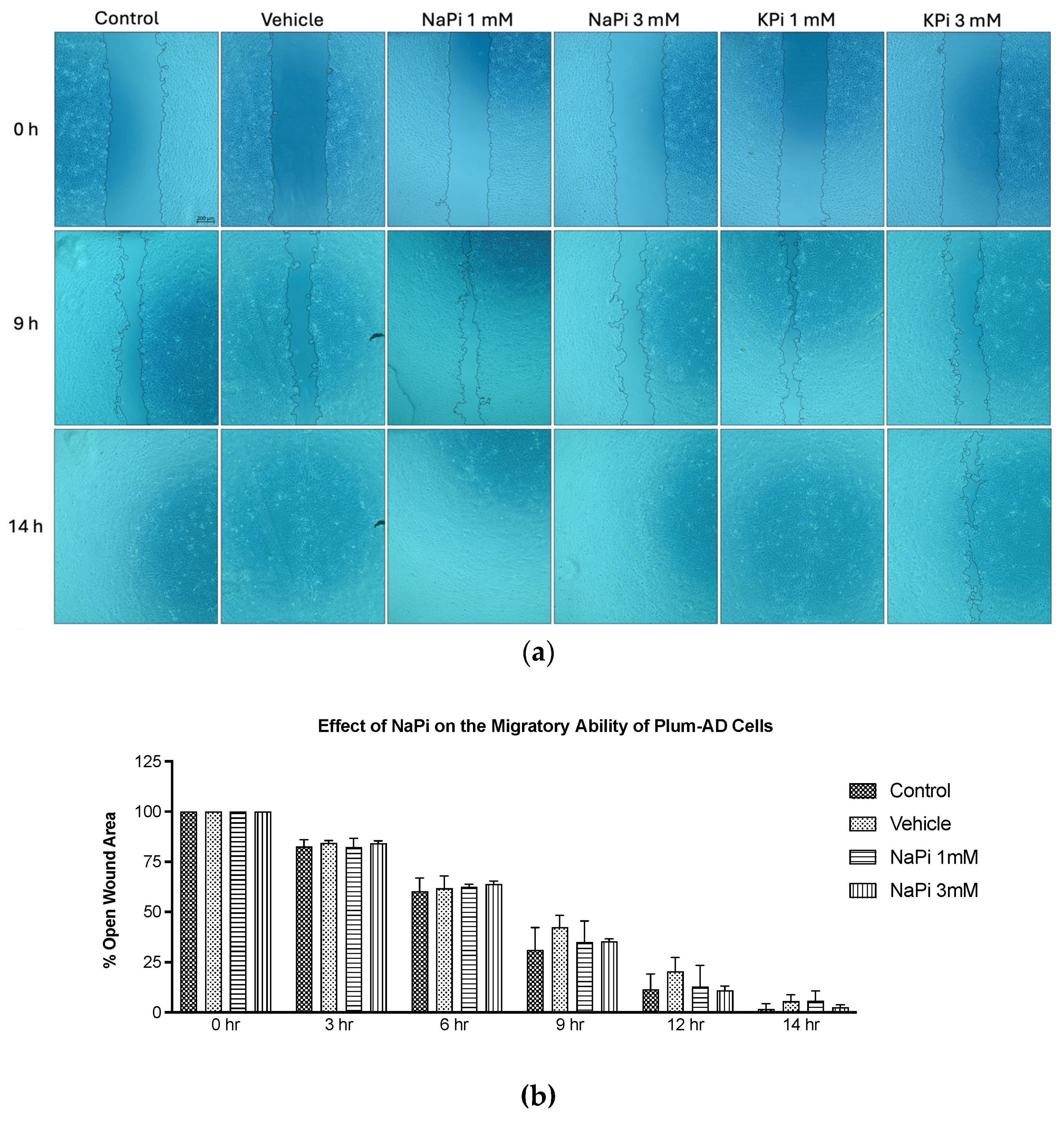 Preprints 151996 g003a