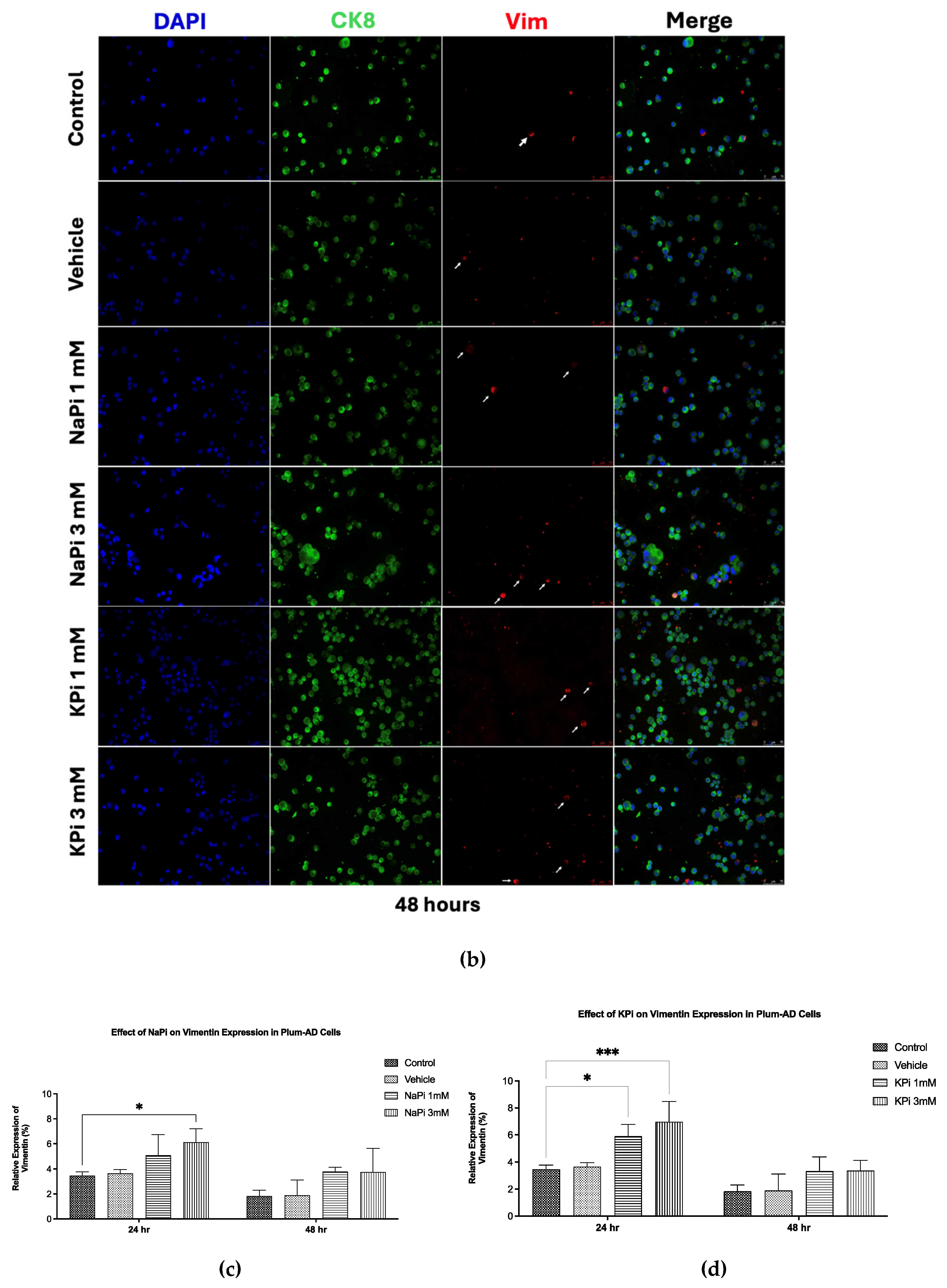 Preprints 151996 g004b