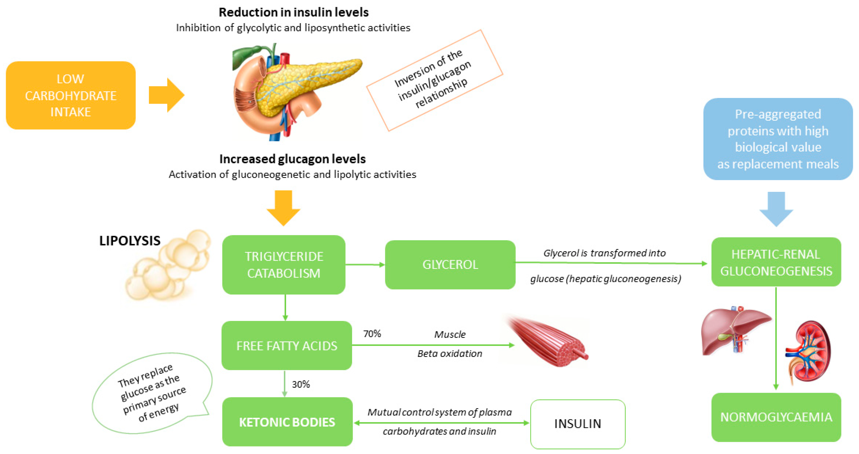 Preprints 87192 g001