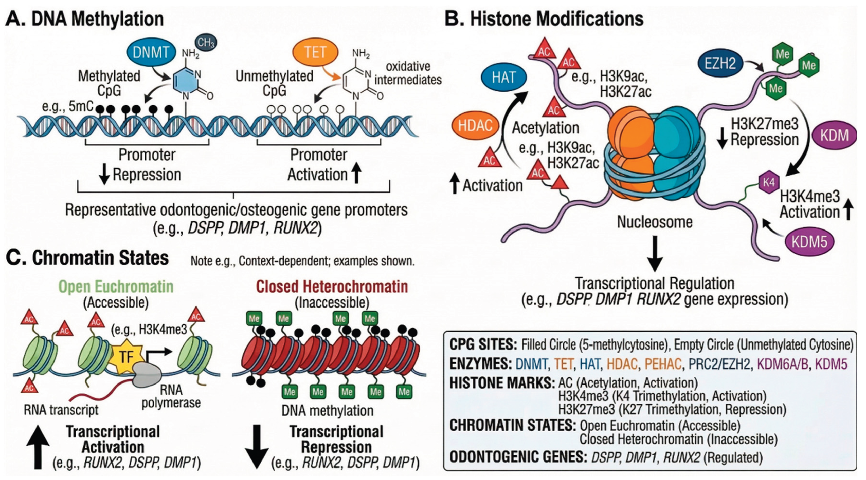 Preprints 202105 g003