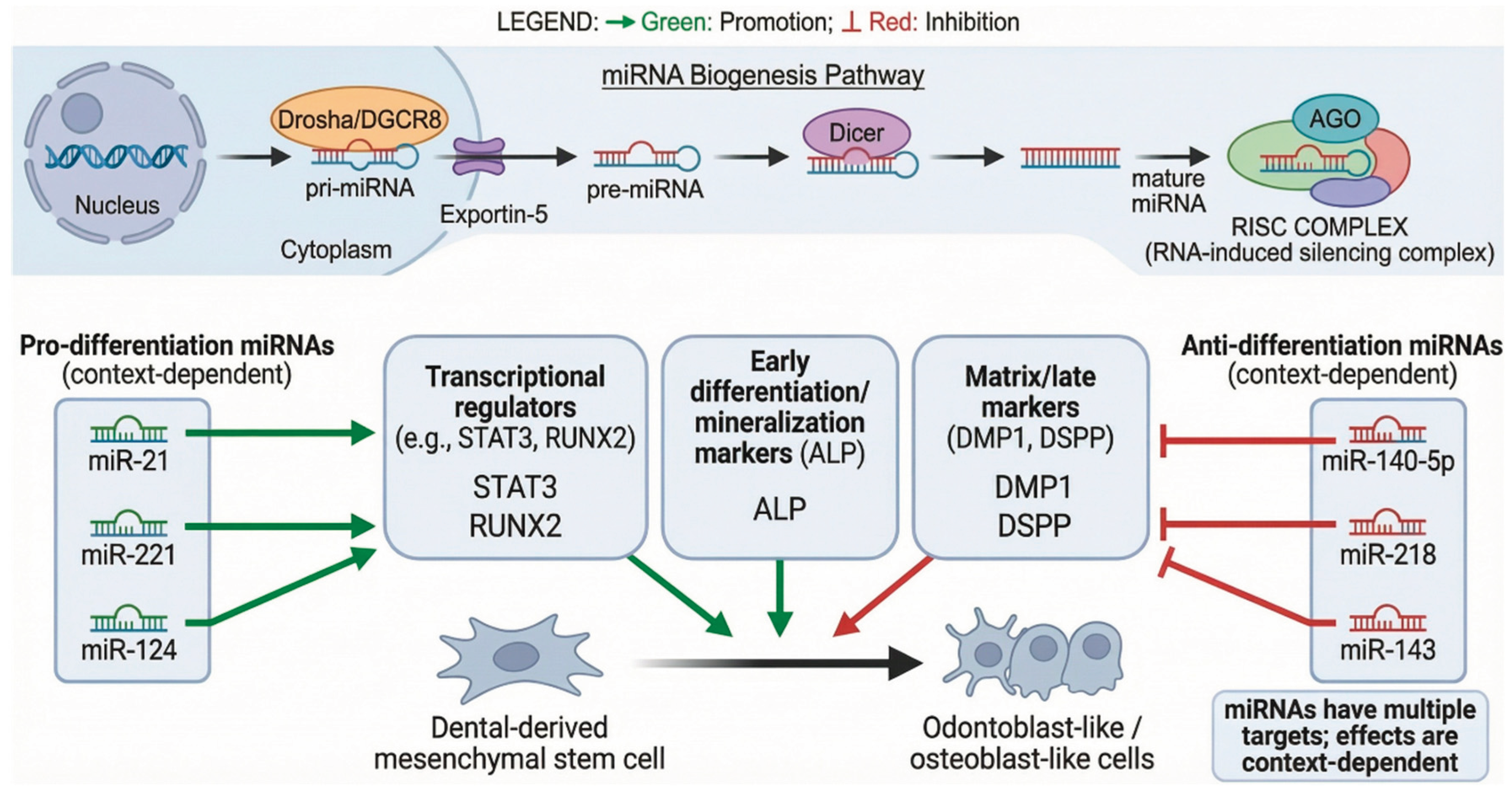 Preprints 202105 g004