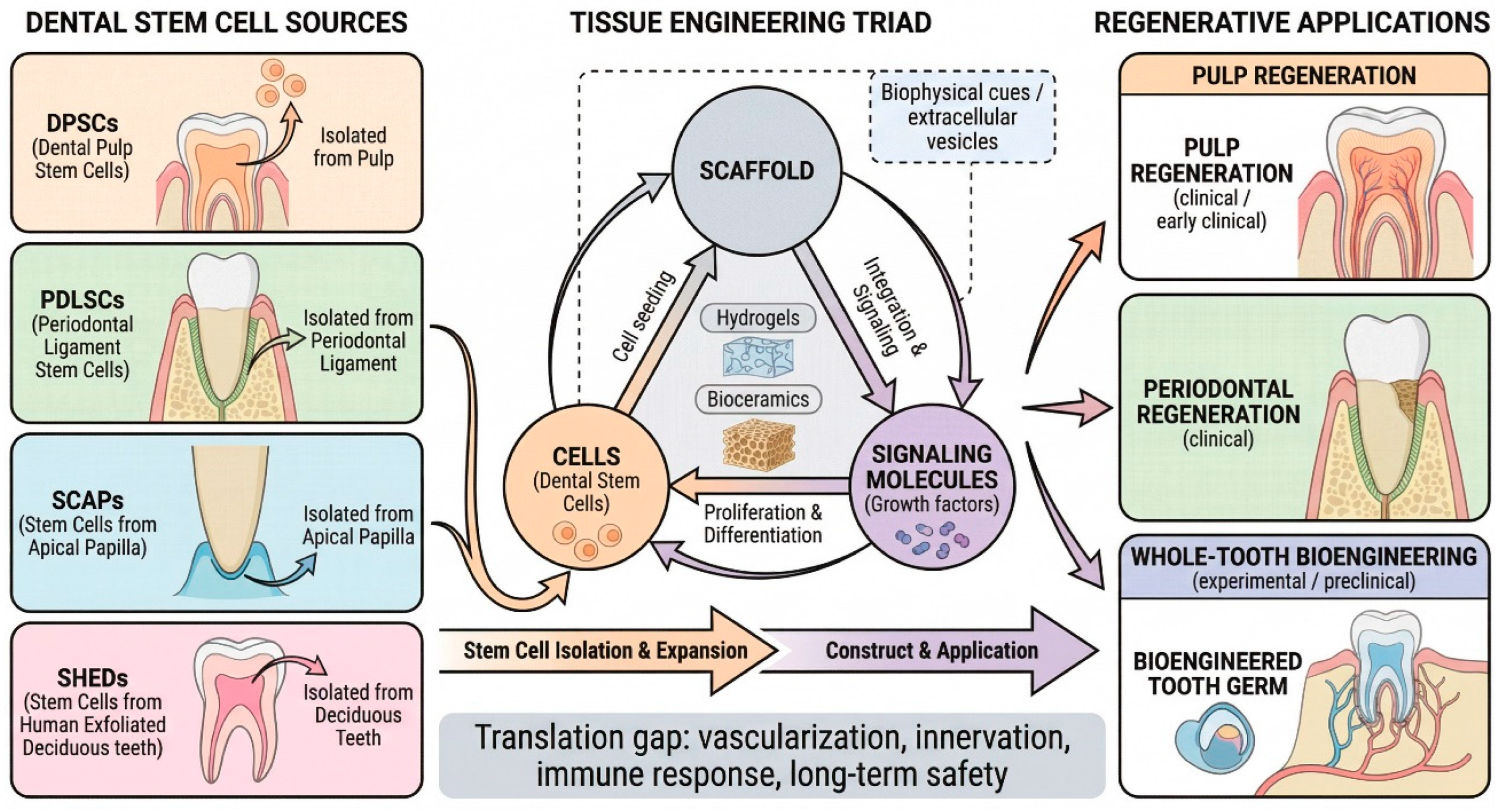 Preprints 202105 g006