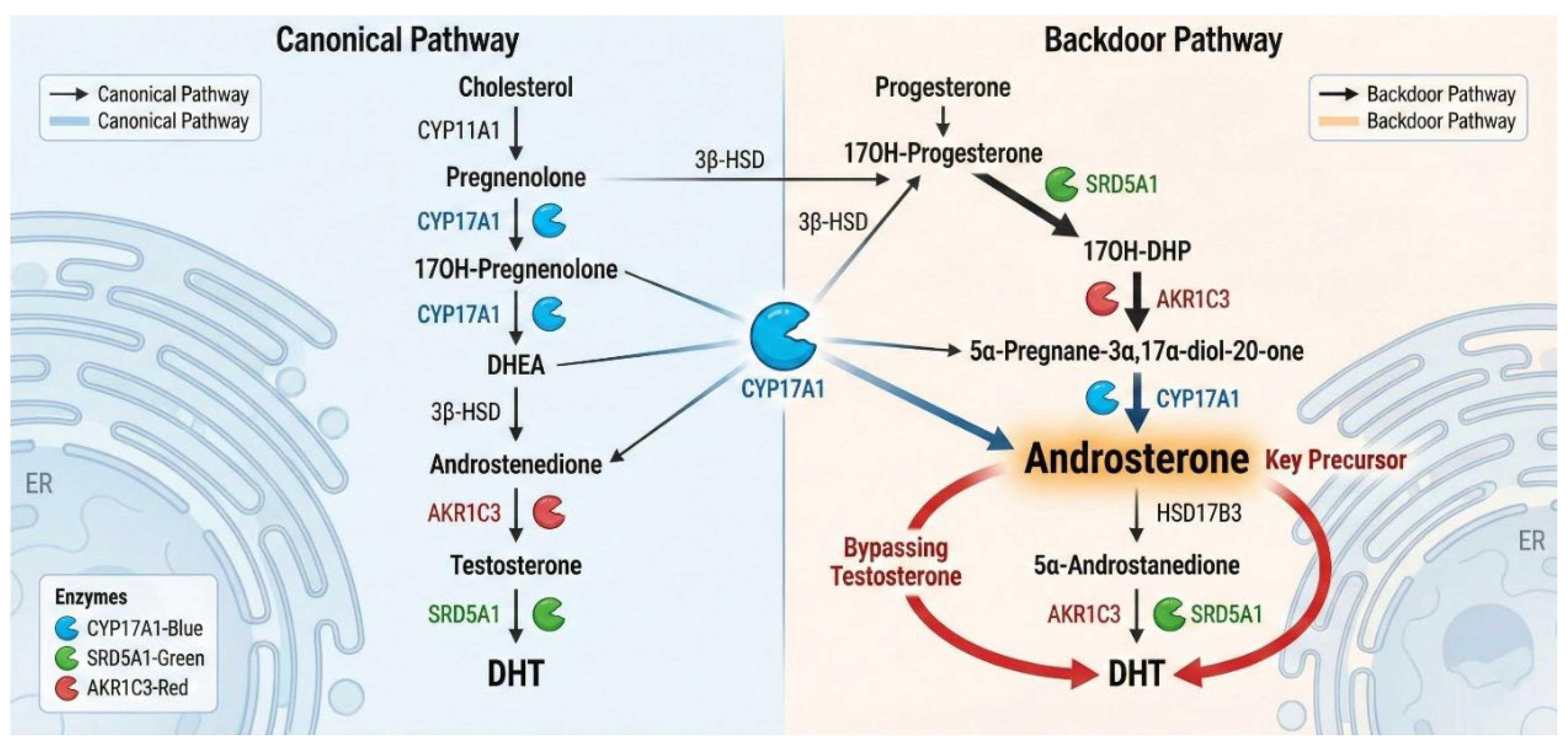 Preprints 195128 g001