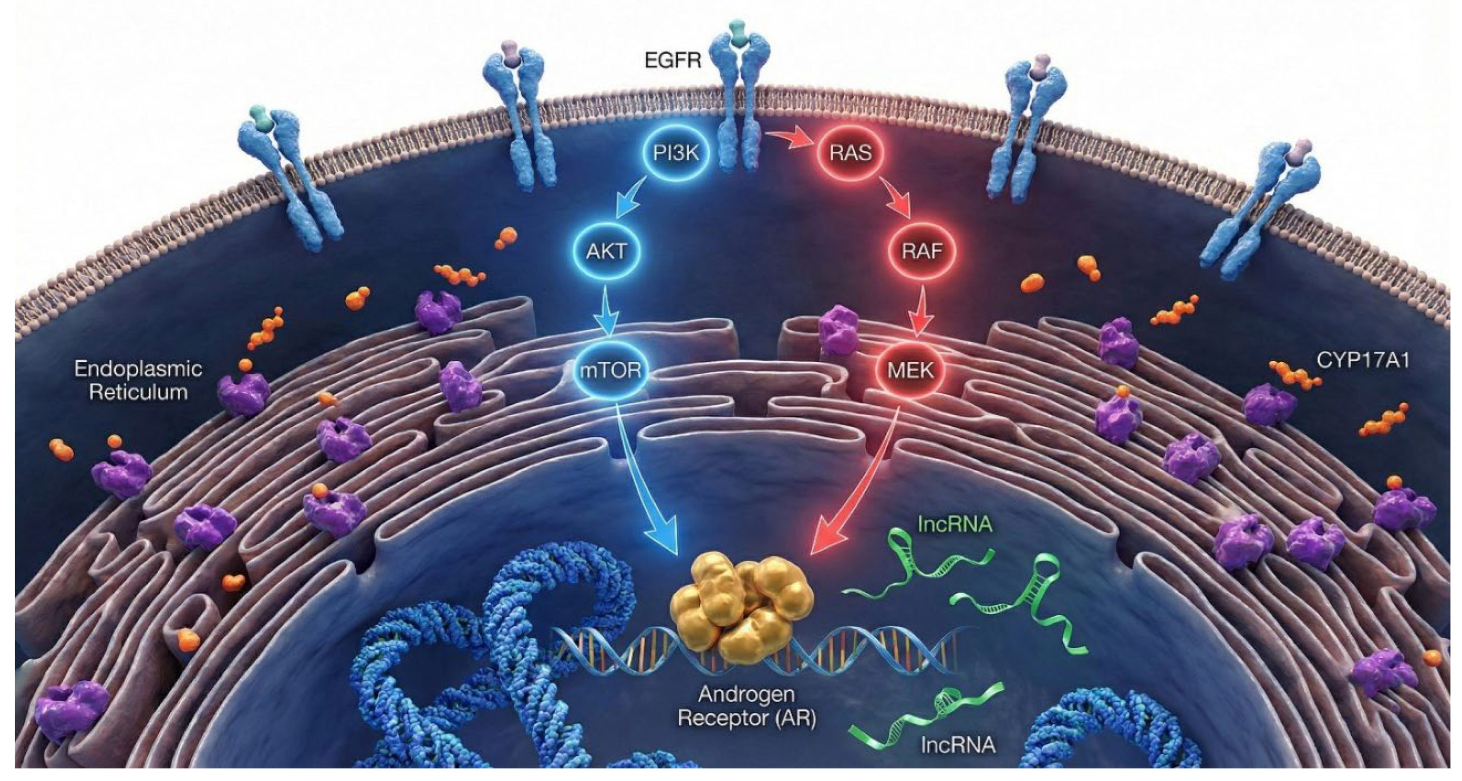 Preprints 195128 g002