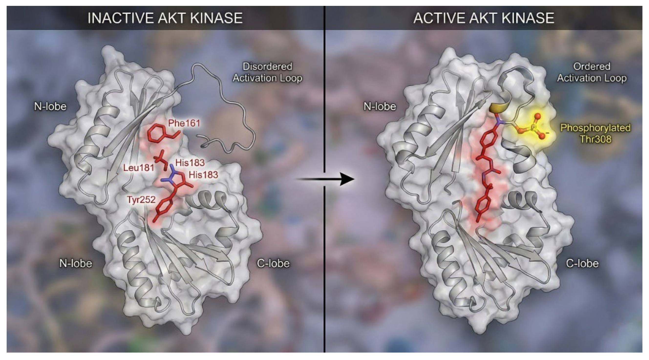 Preprints 195128 g003