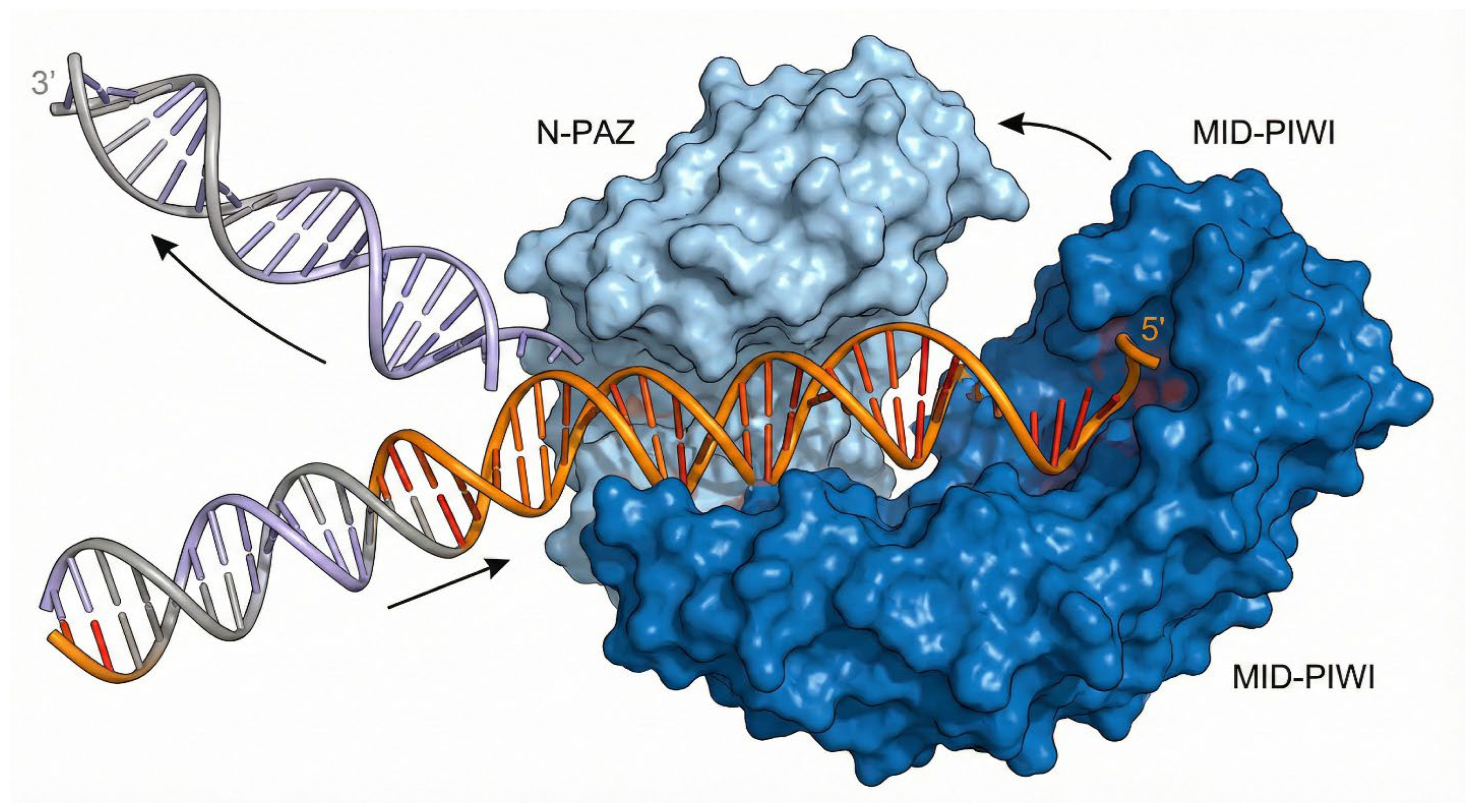 Preprints 195128 g004