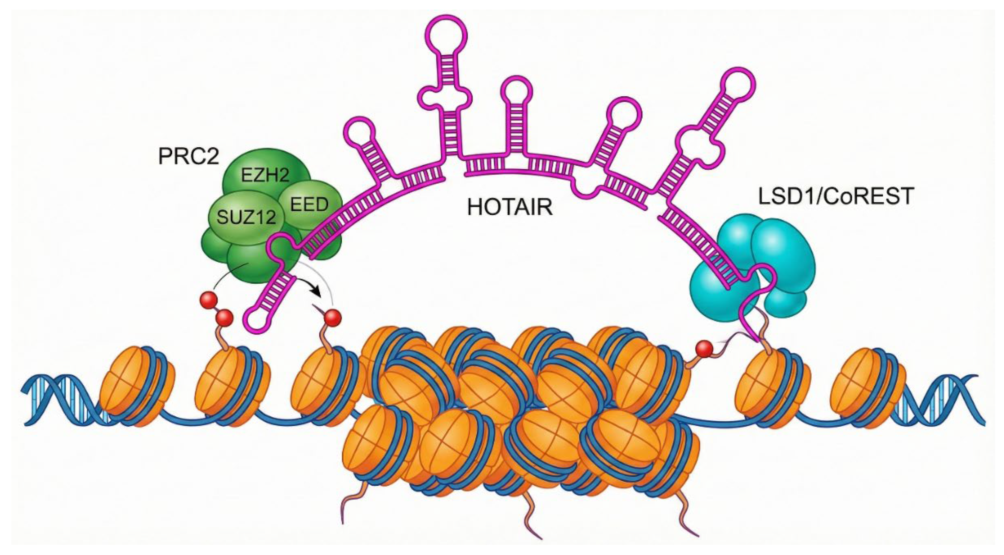 Preprints 195128 g005