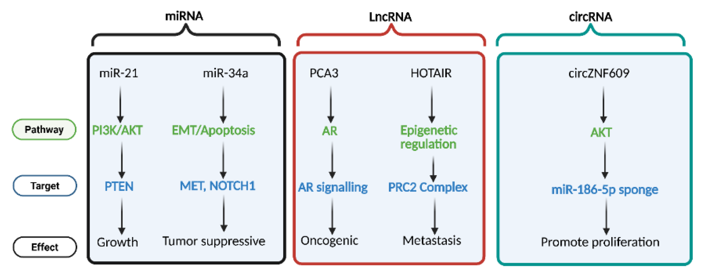 Preprints 195128 g006