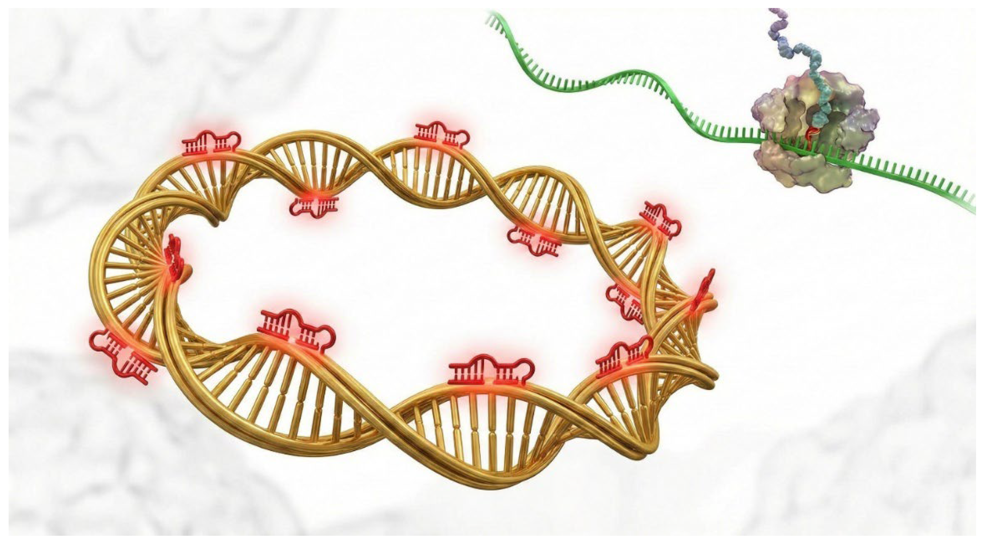 Preprints 195128 g007