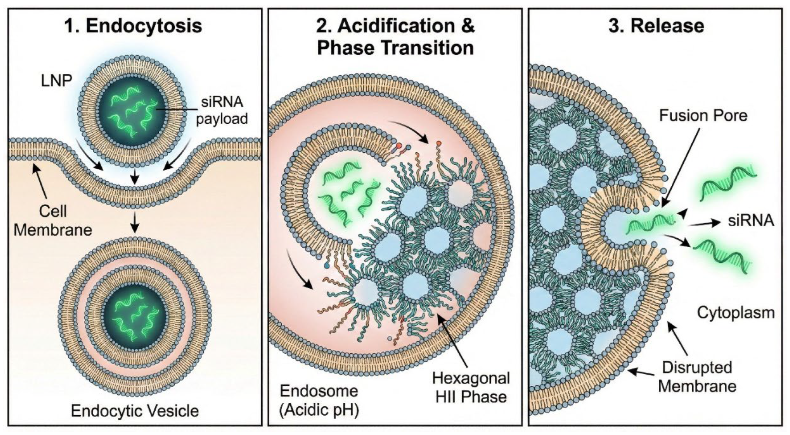 Preprints 195128 g009