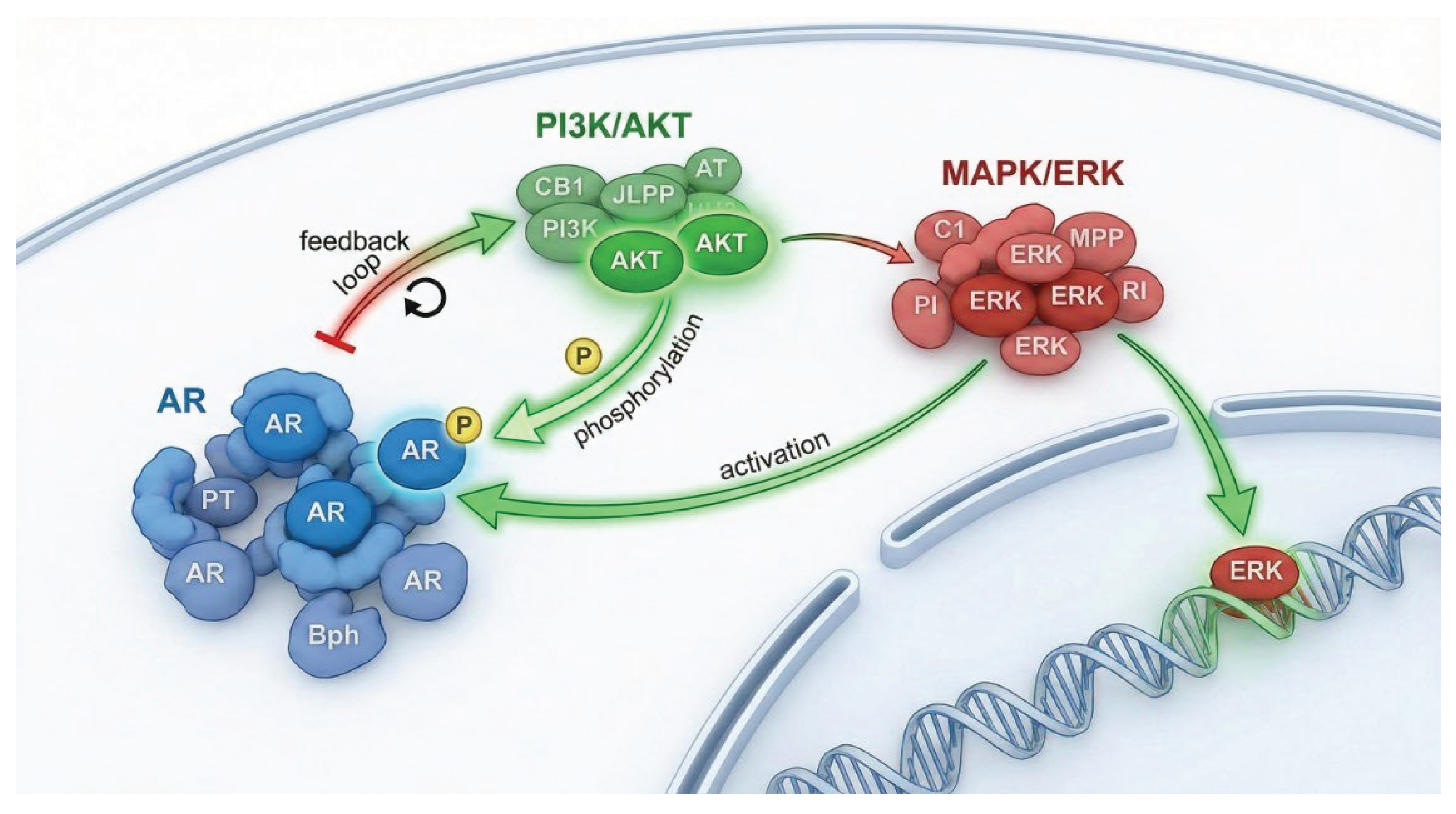Preprints 195128 g010