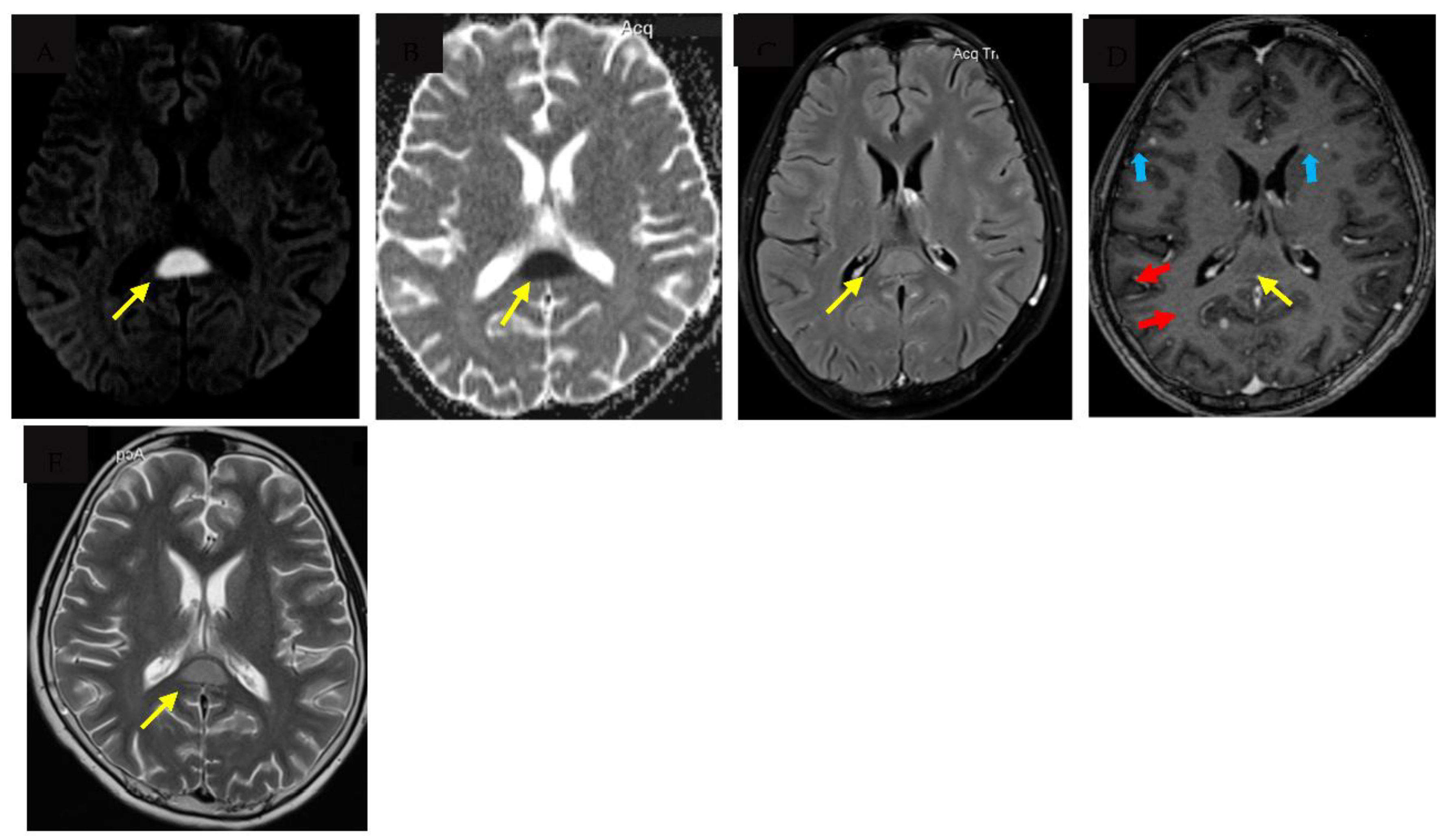 Preprints 149471 g001
