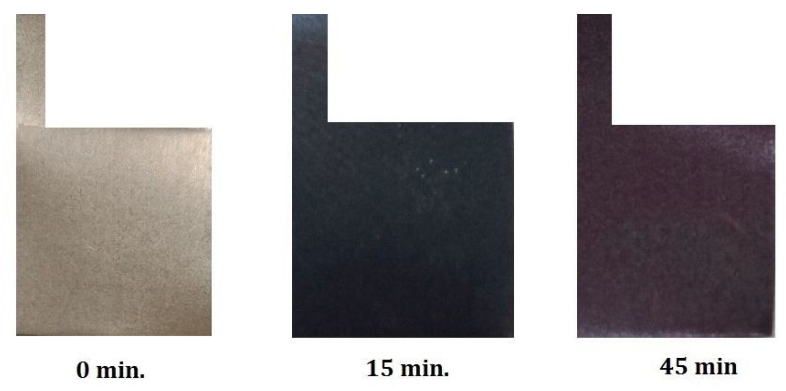 Preprints 164948 g003