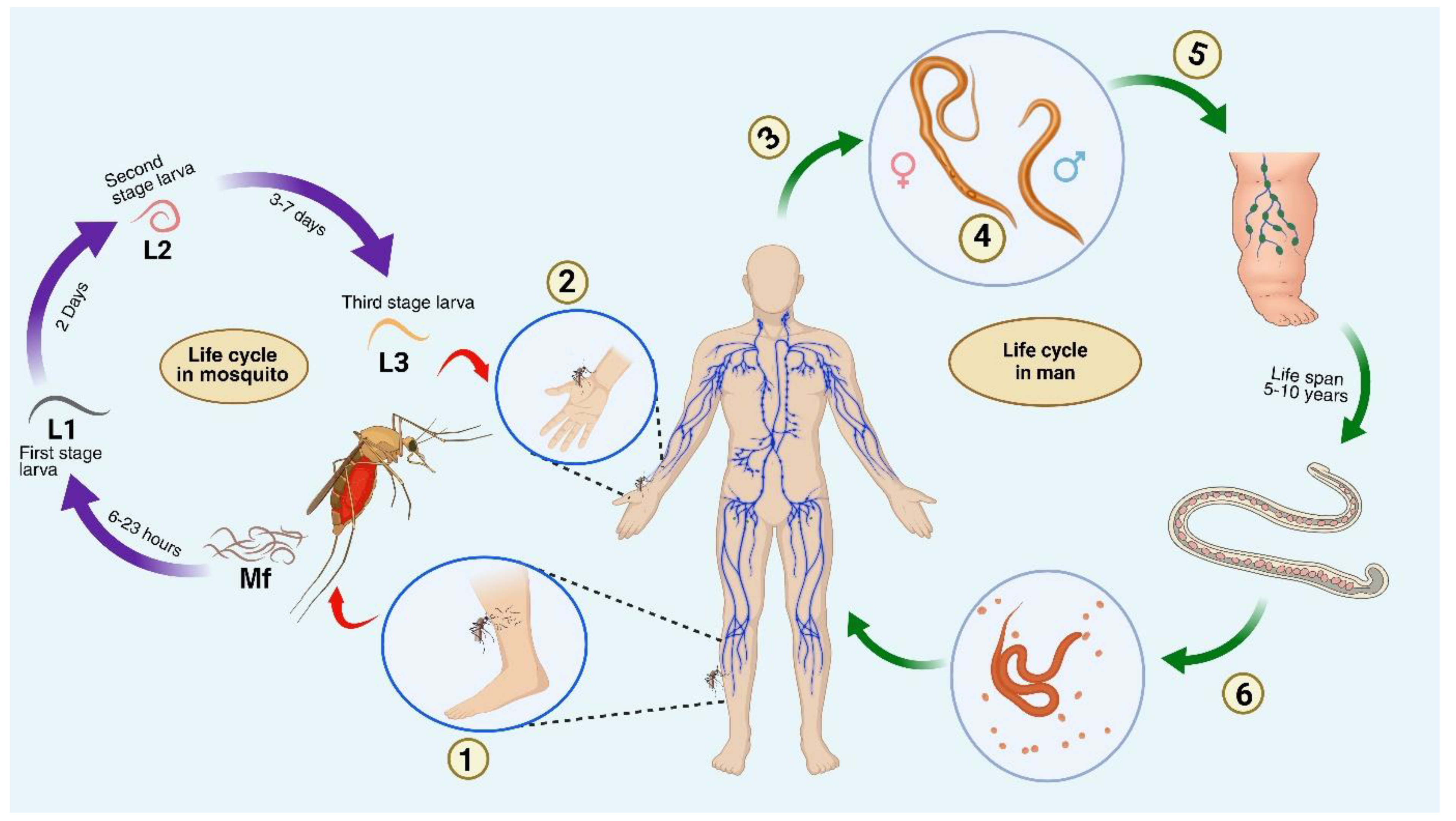 Preprints 178958 g001