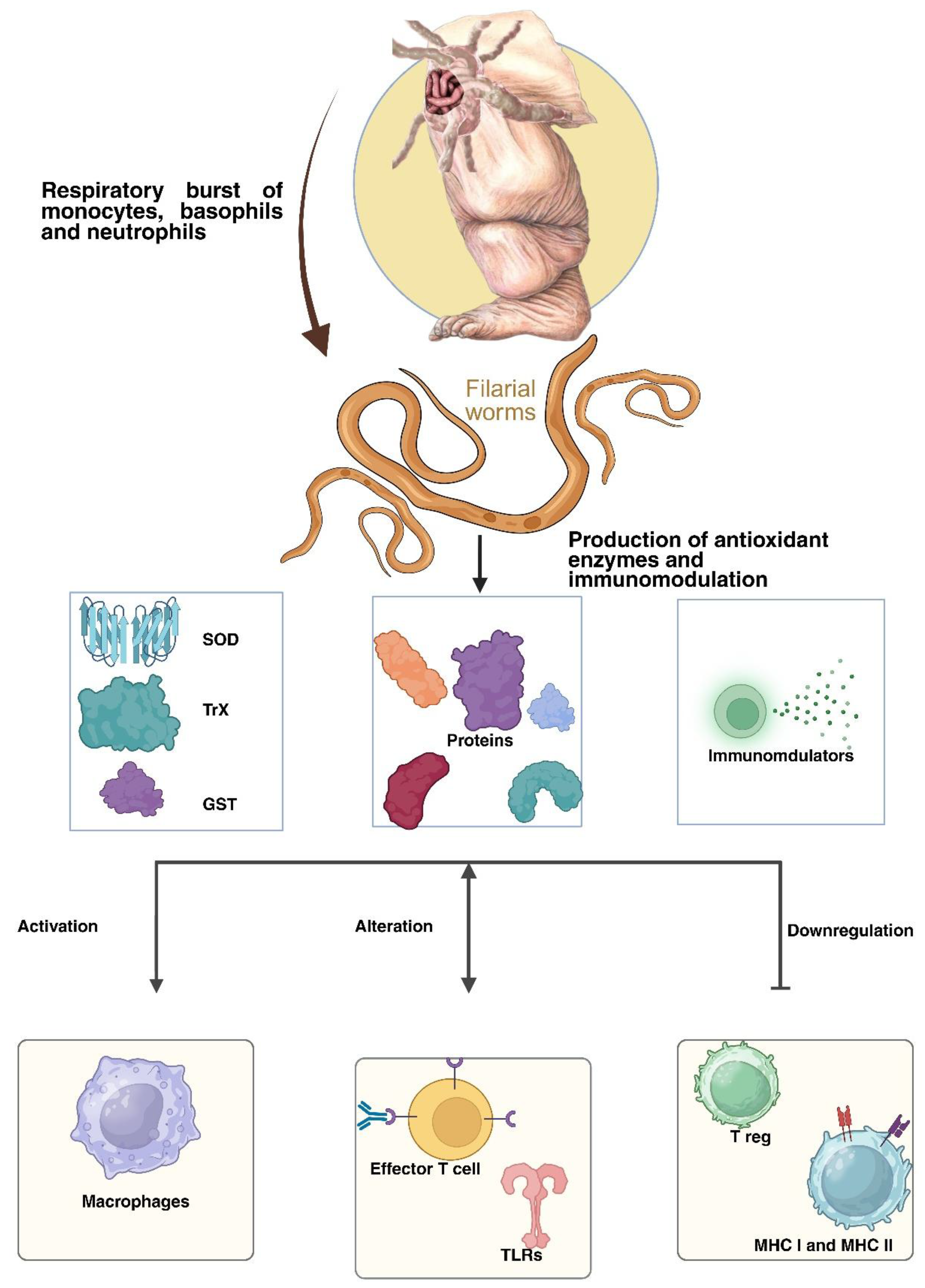 Preprints 178958 g002