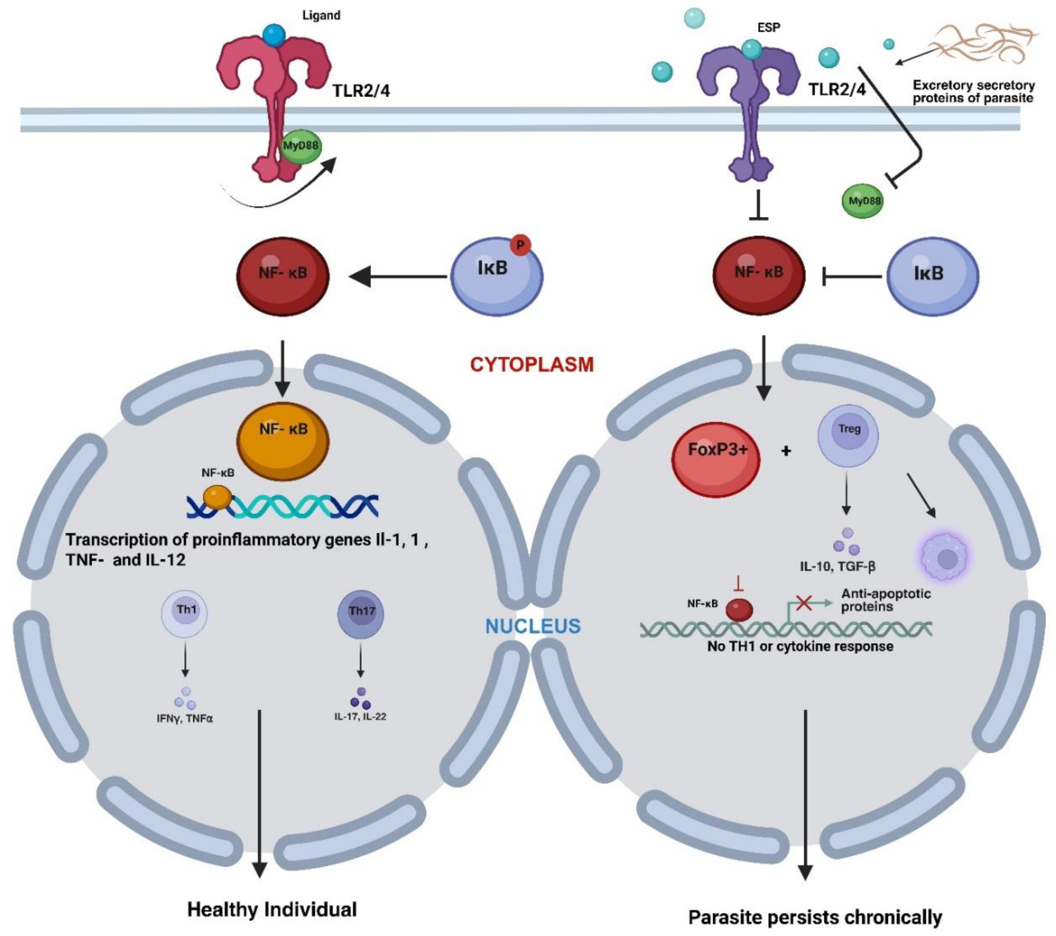 Preprints 178958 g003
