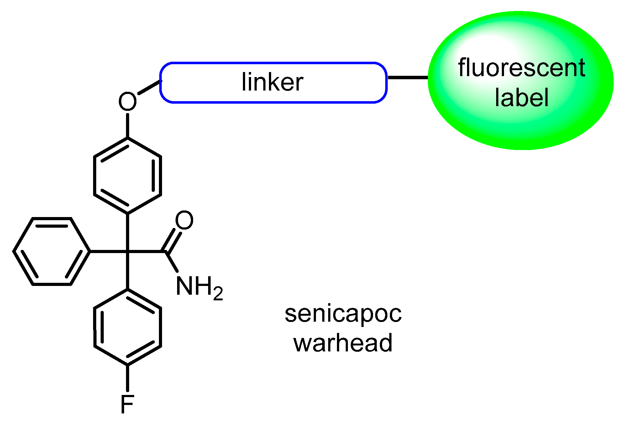 Preprints 144045 g002