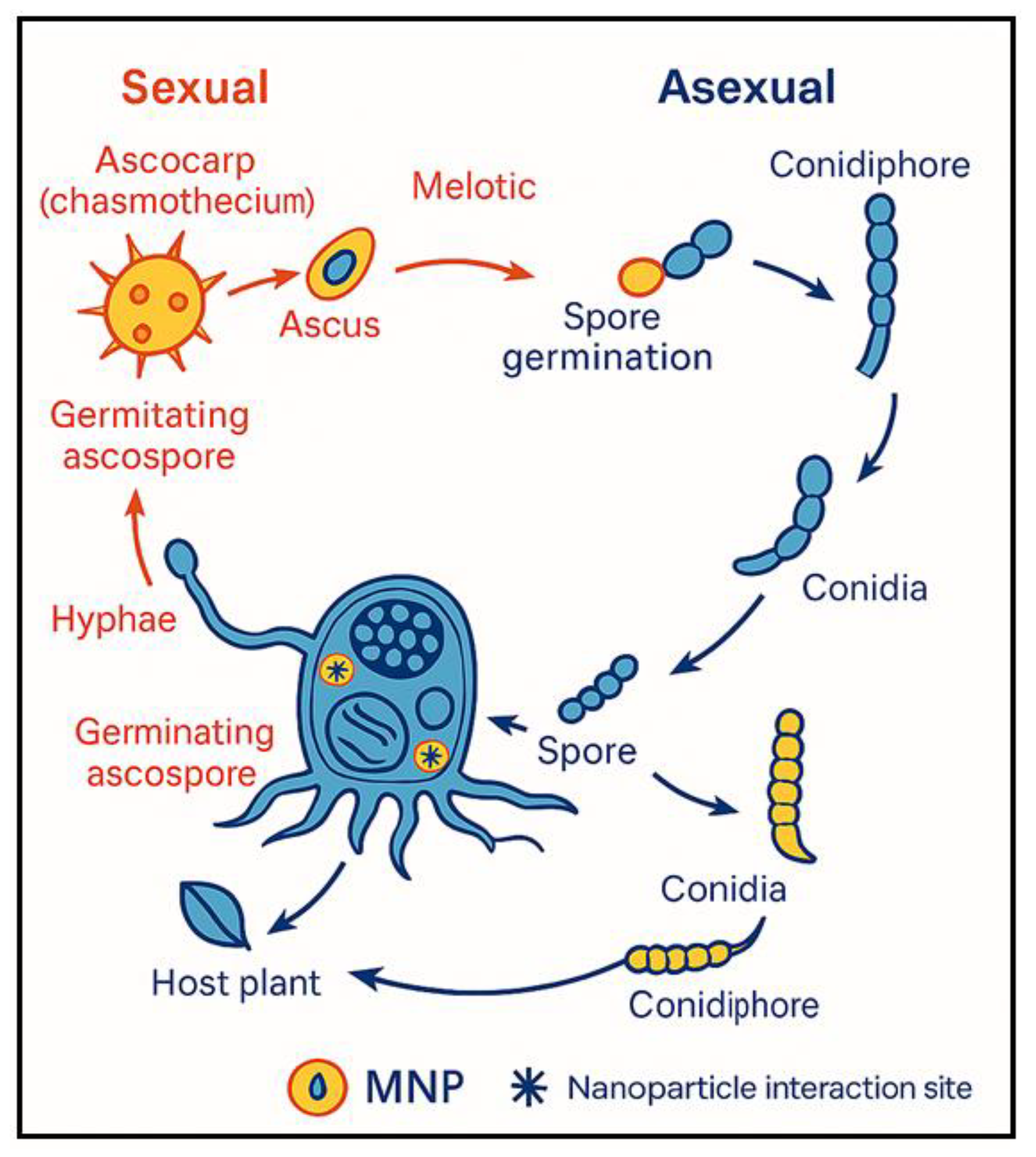 Preprints 182713 g001