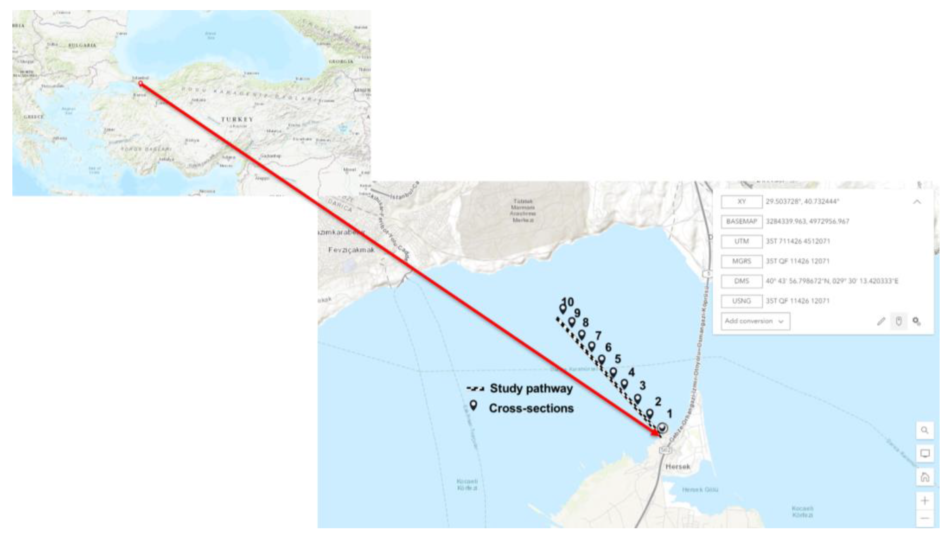 Preprints 70090 g007