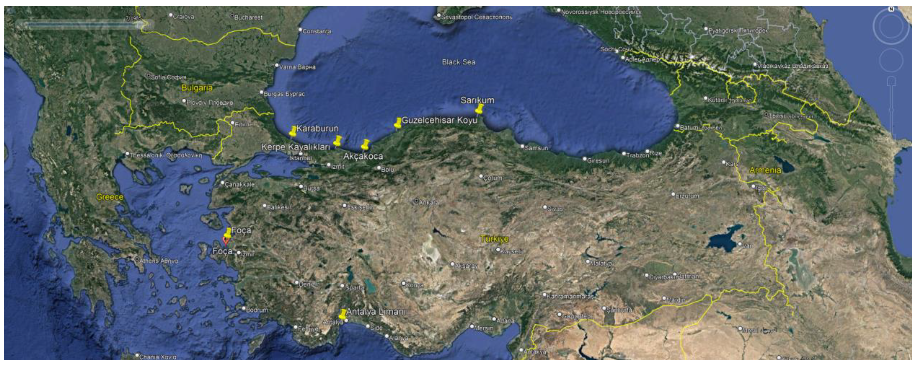 Preprints 70090 g024