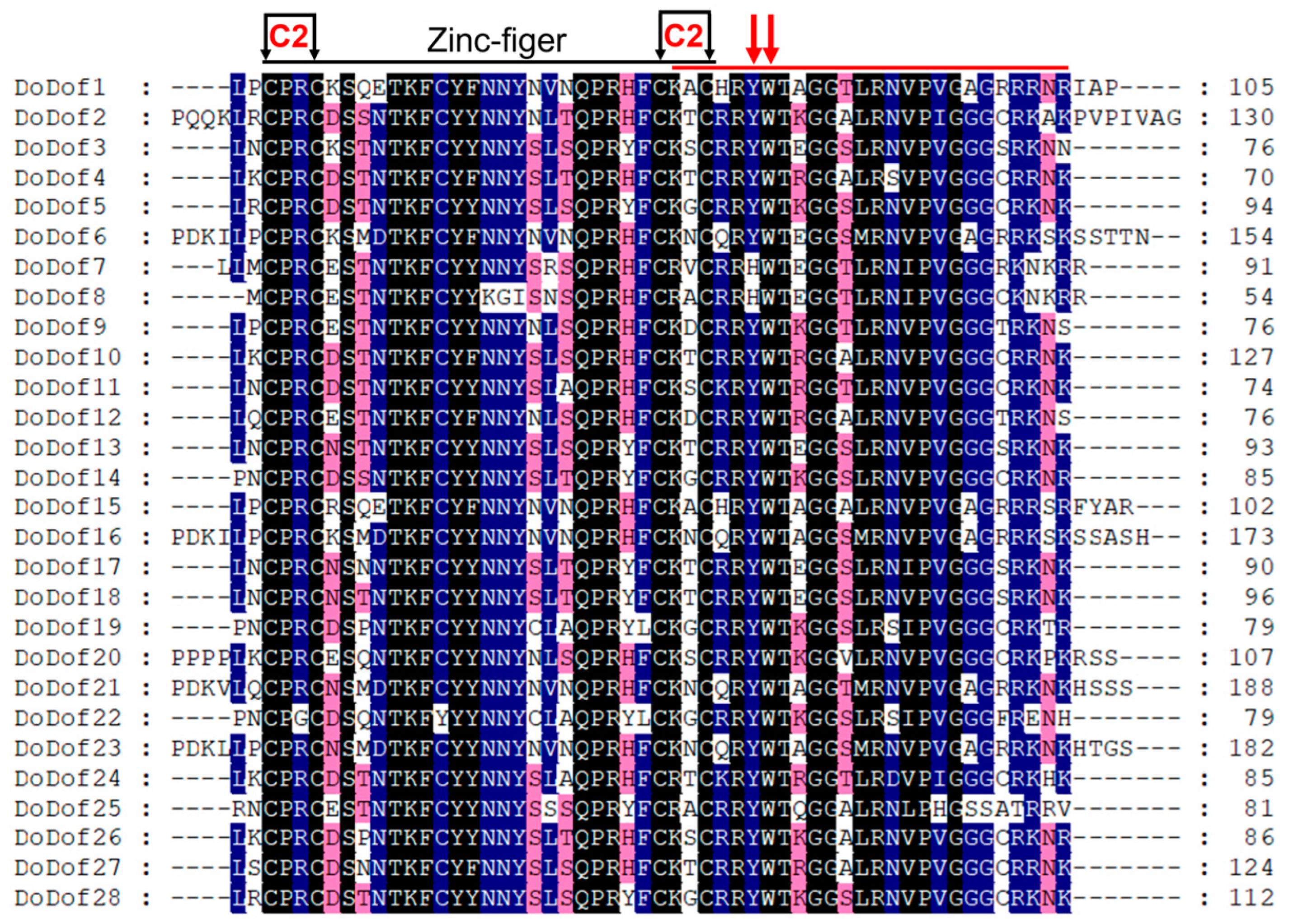 Preprints 152095 g003