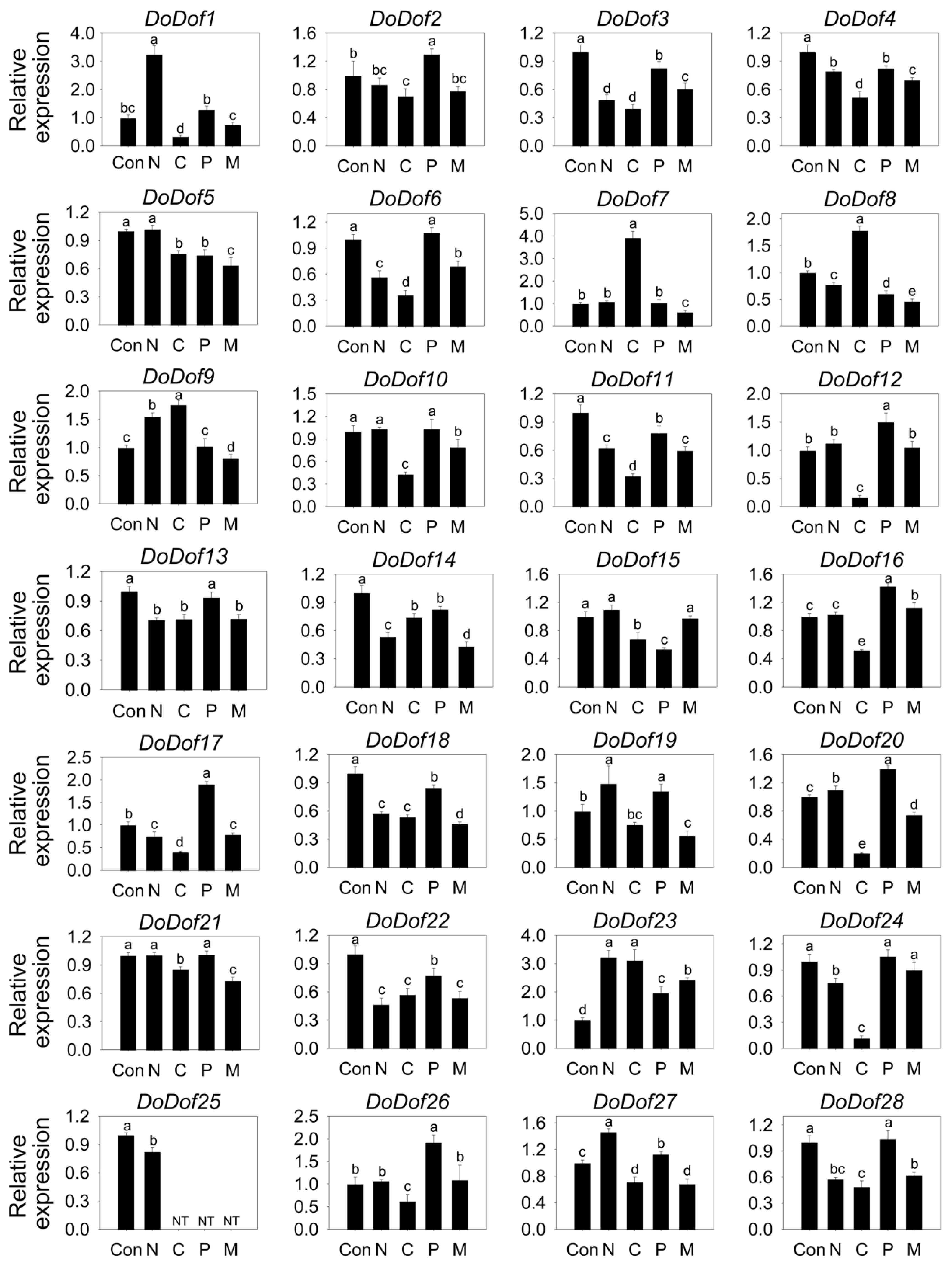 Preprints 152095 g006