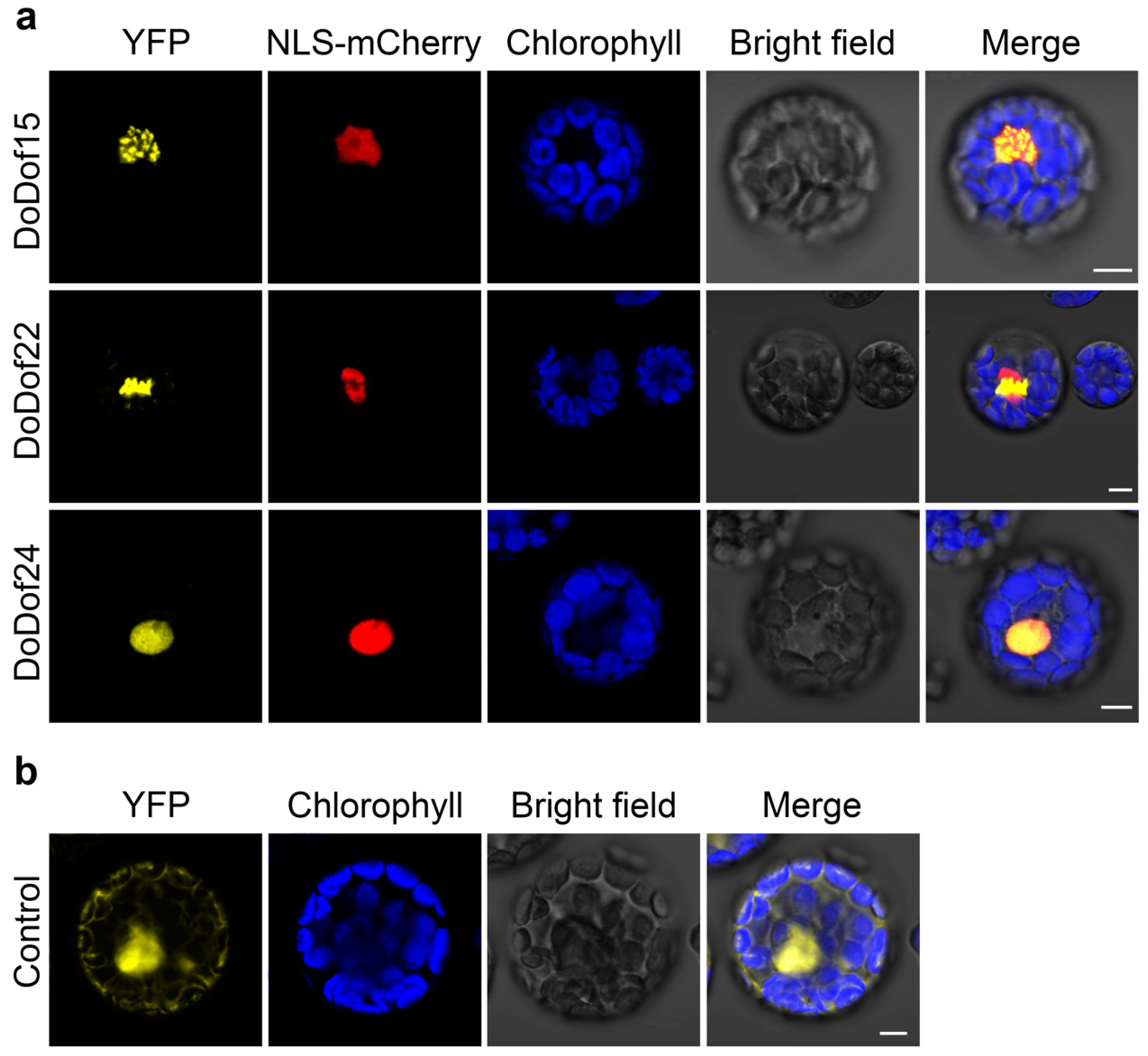 Preprints 152095 g007