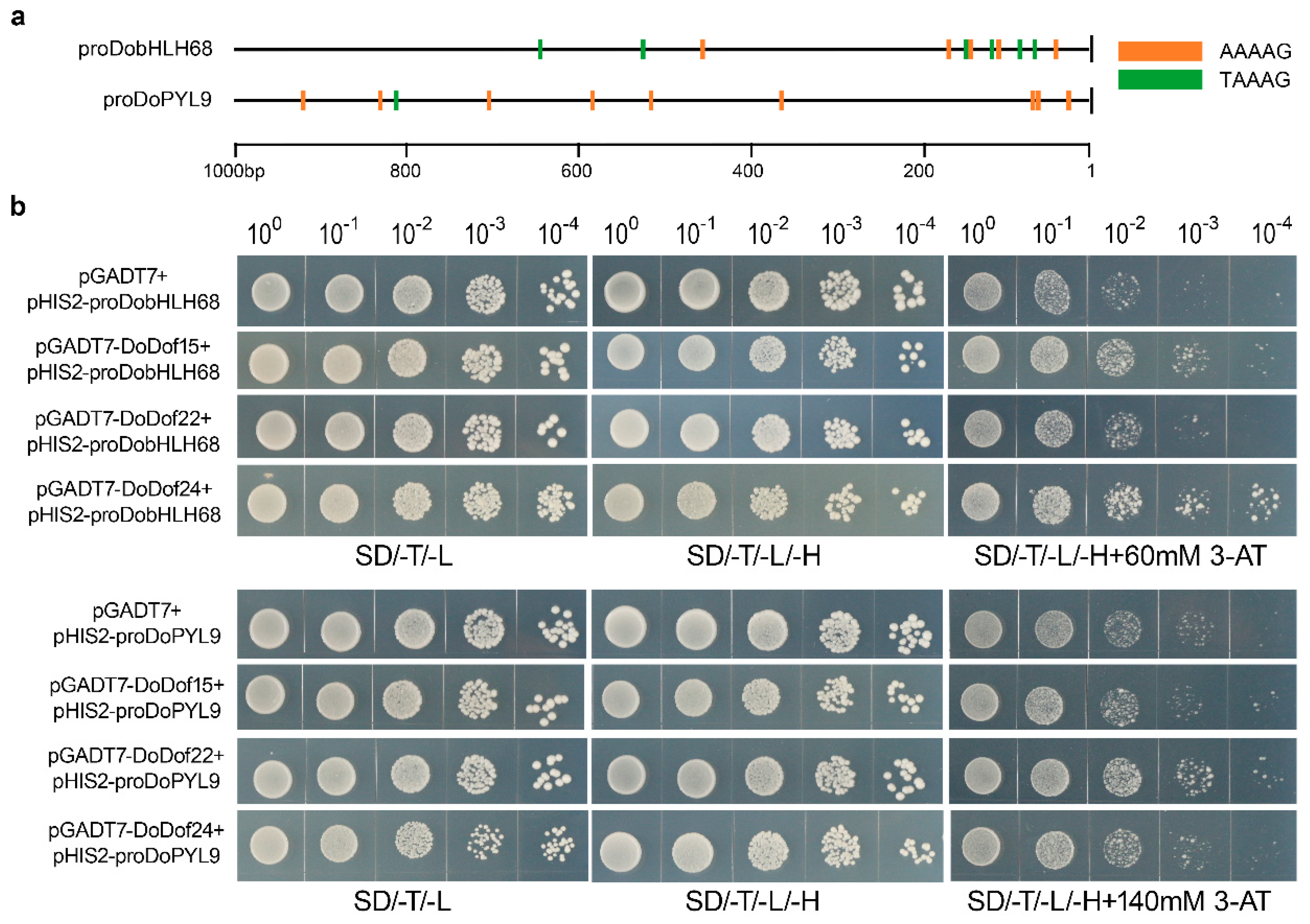 Preprints 152095 g008