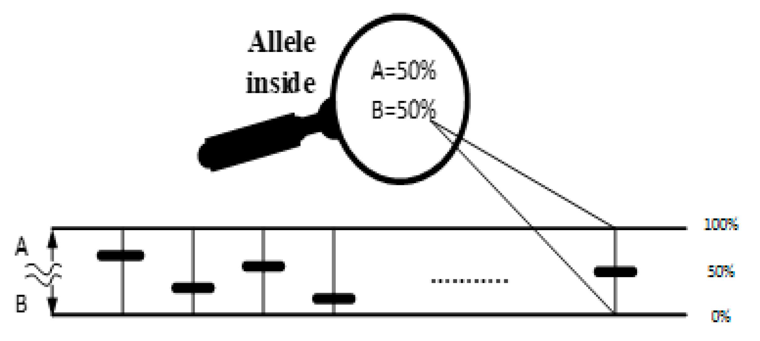 Preprints 70747 g004