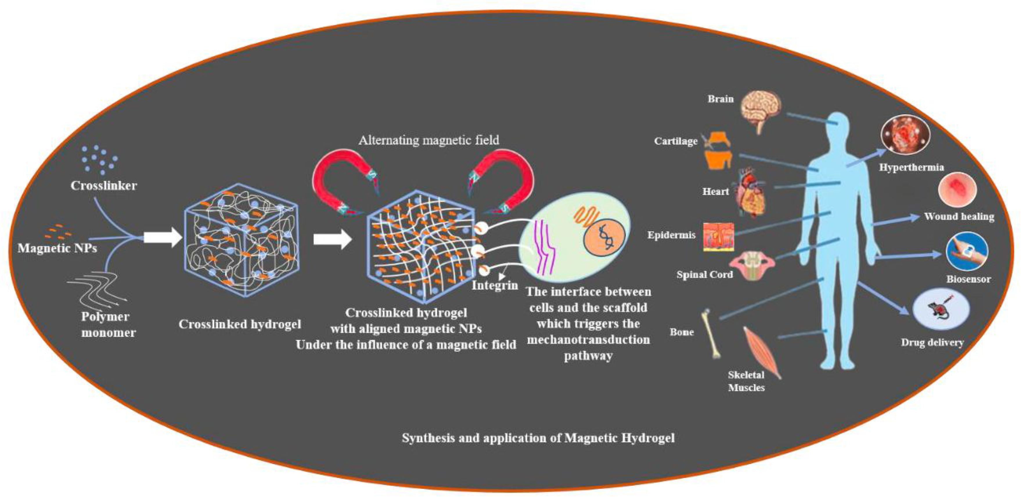 Preprints 178019 g001