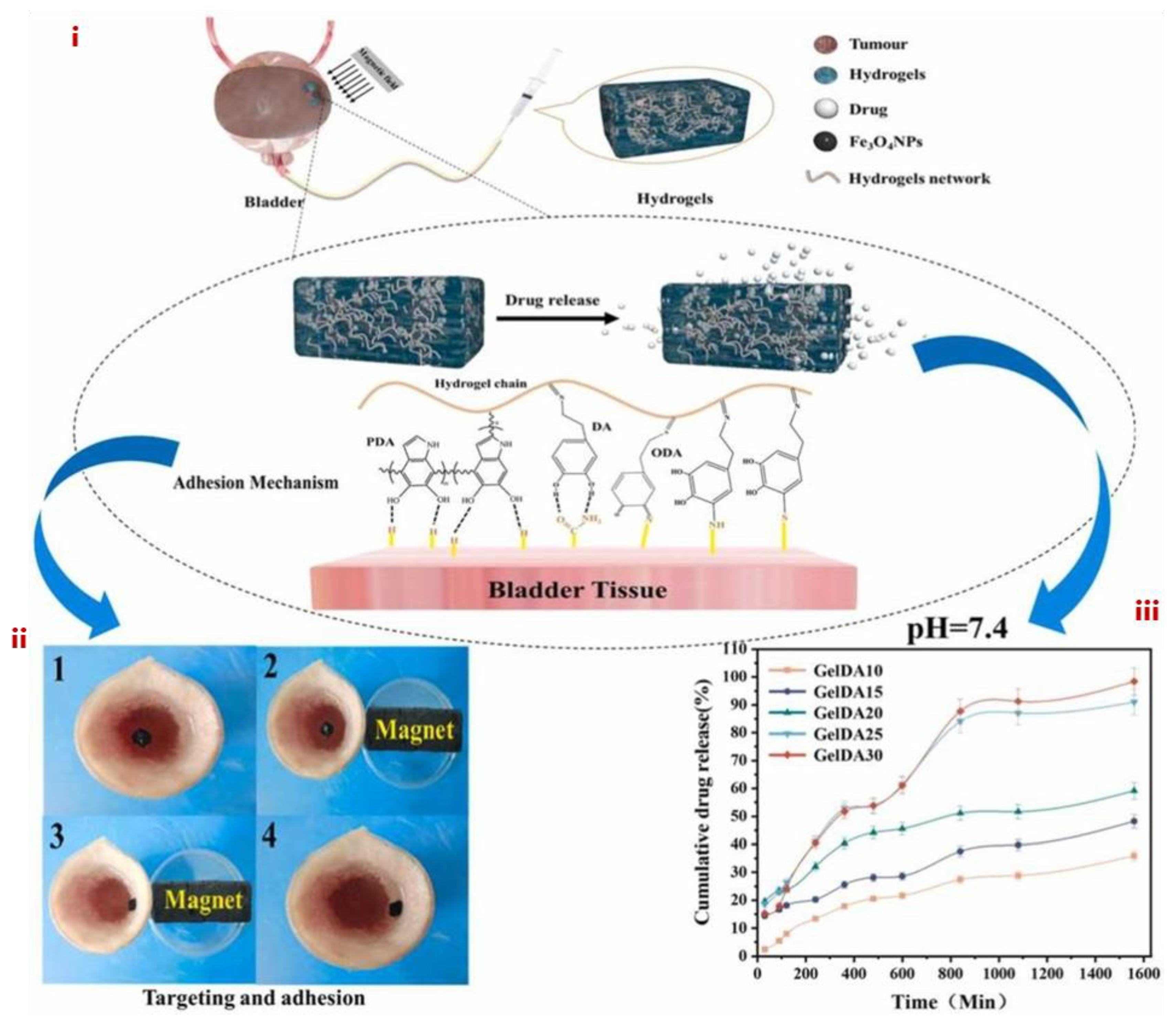 Preprints 178019 g004