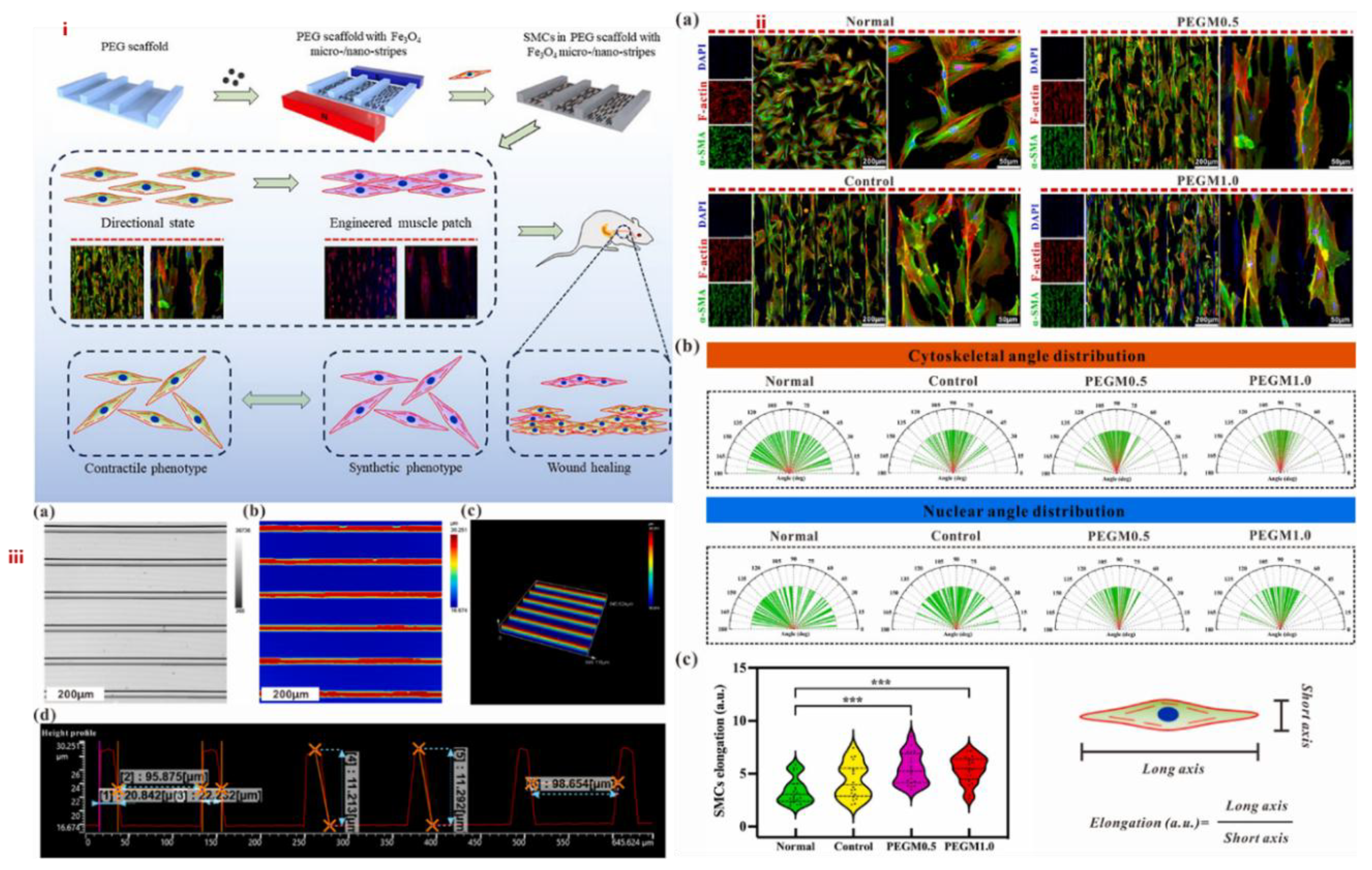 Preprints 178019 g006