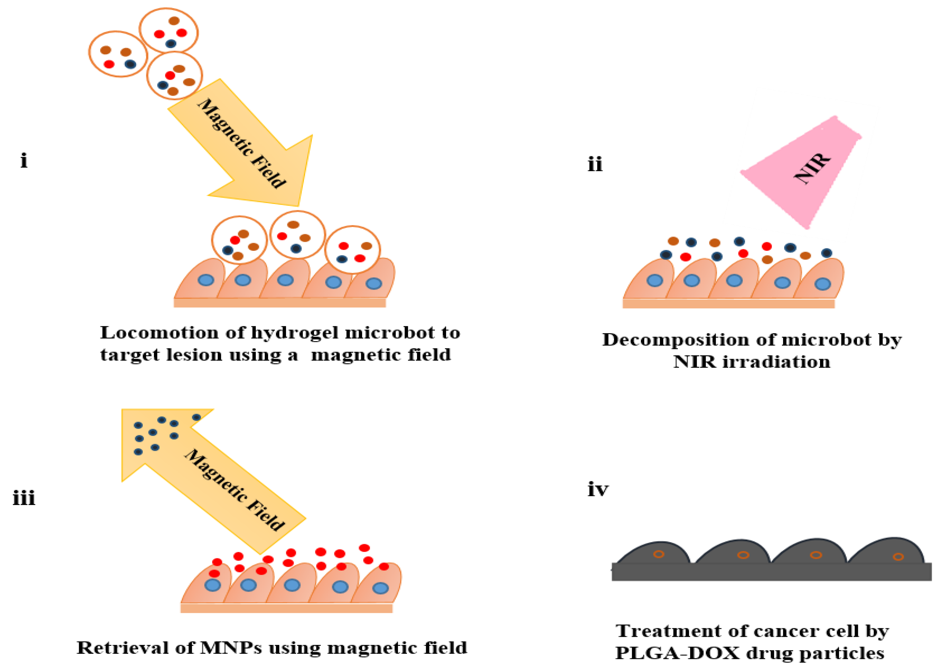 Preprints 178019 g013