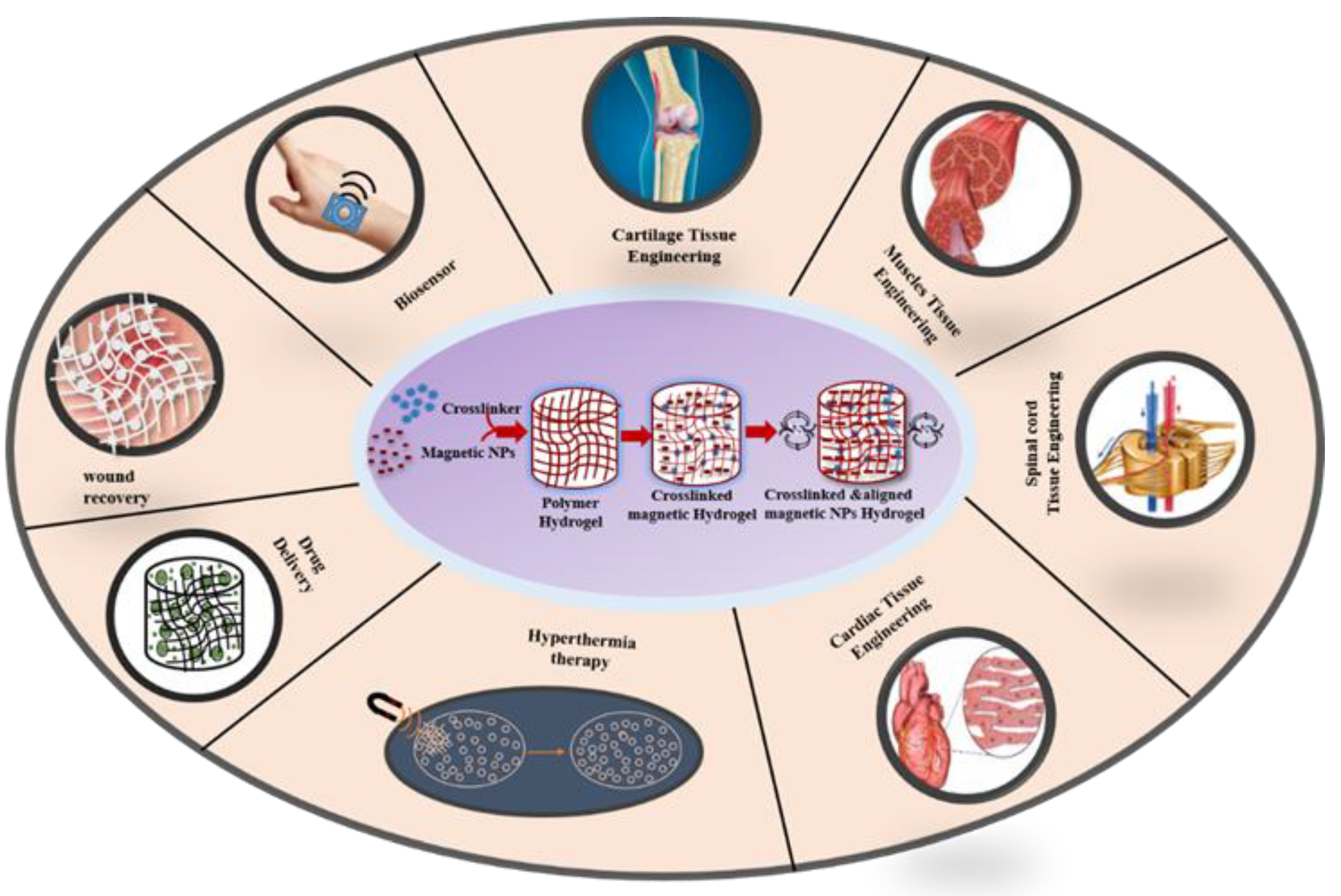 Preprints 178019 g014