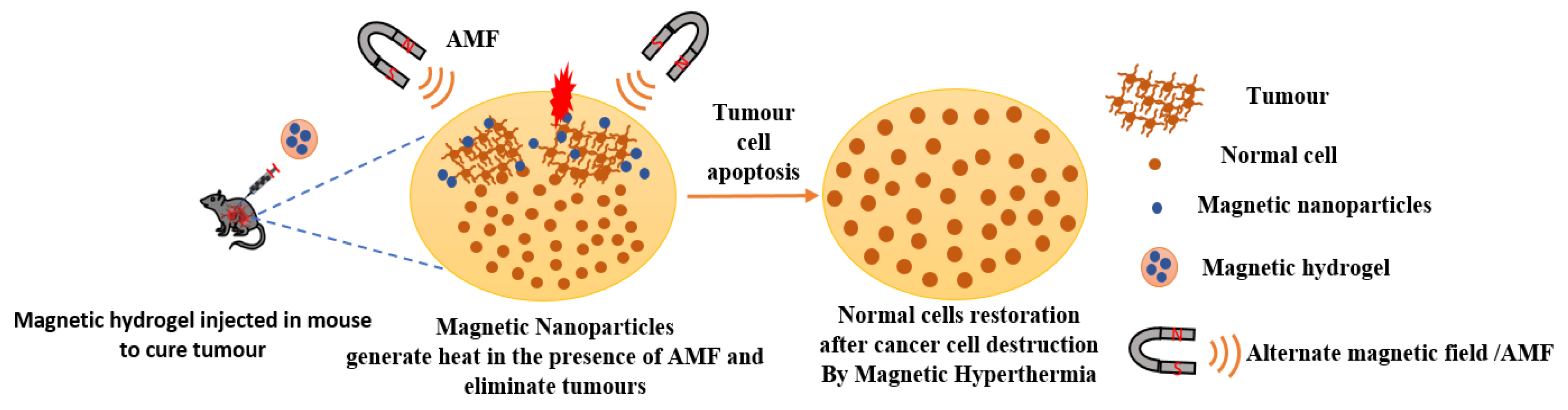 Preprints 178019 g016