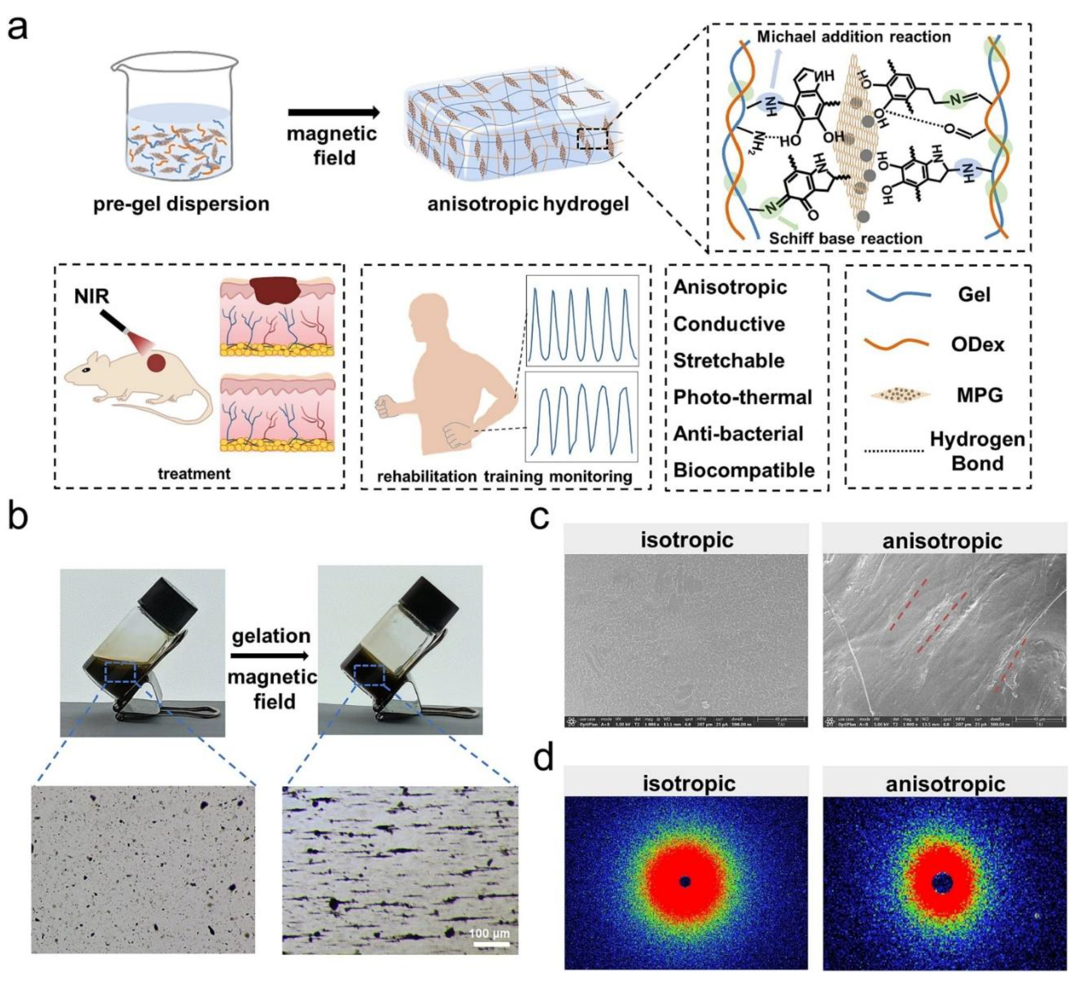 Preprints 178019 g020