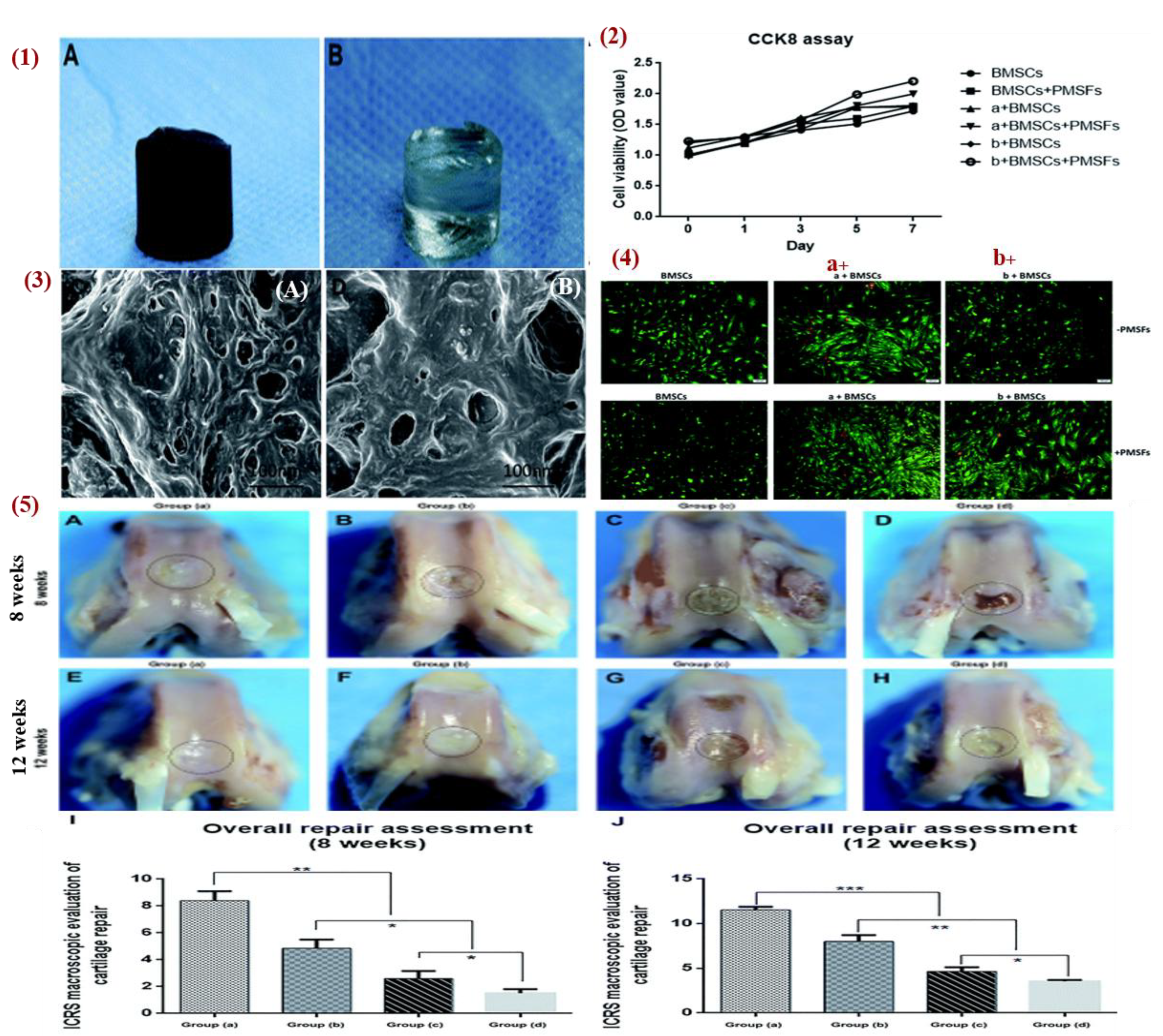 Preprints 178019 g023