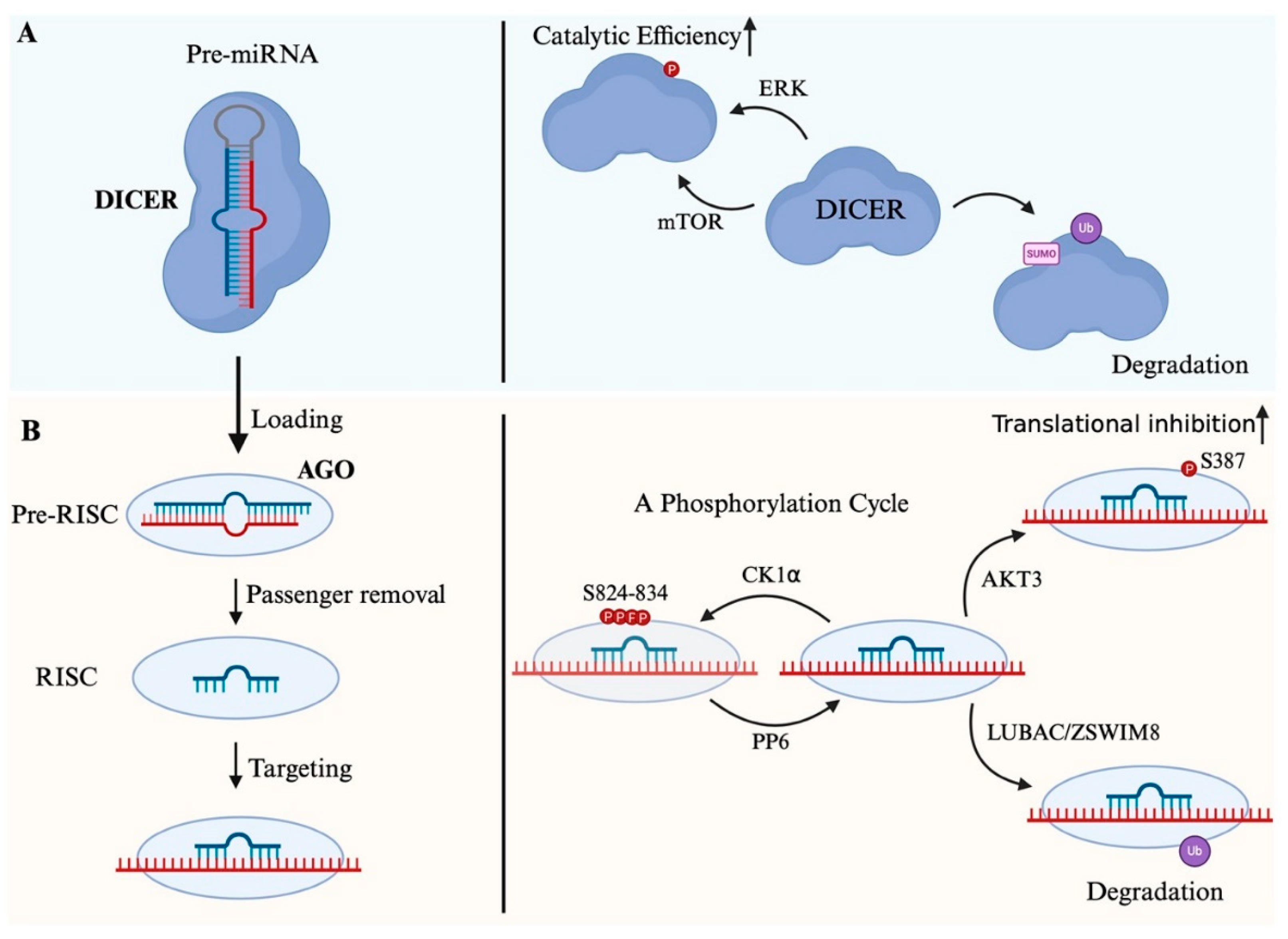 Preprints 175081 g002