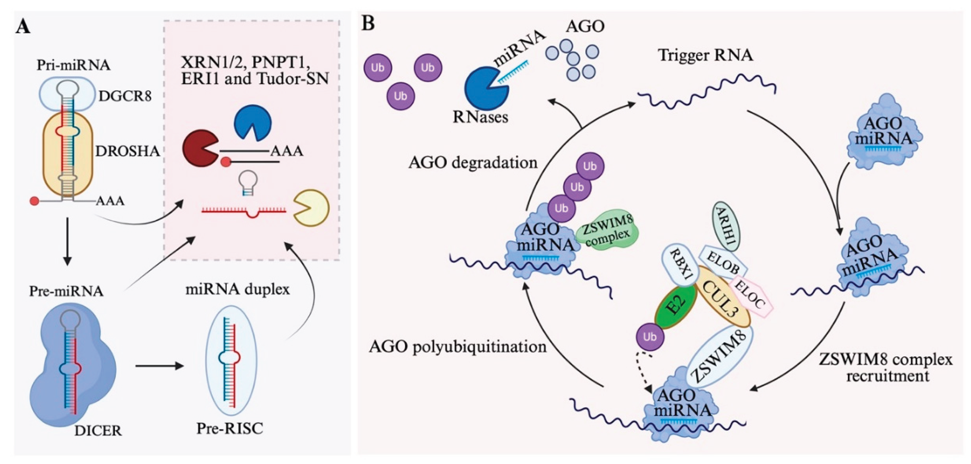 Preprints 175081 g004