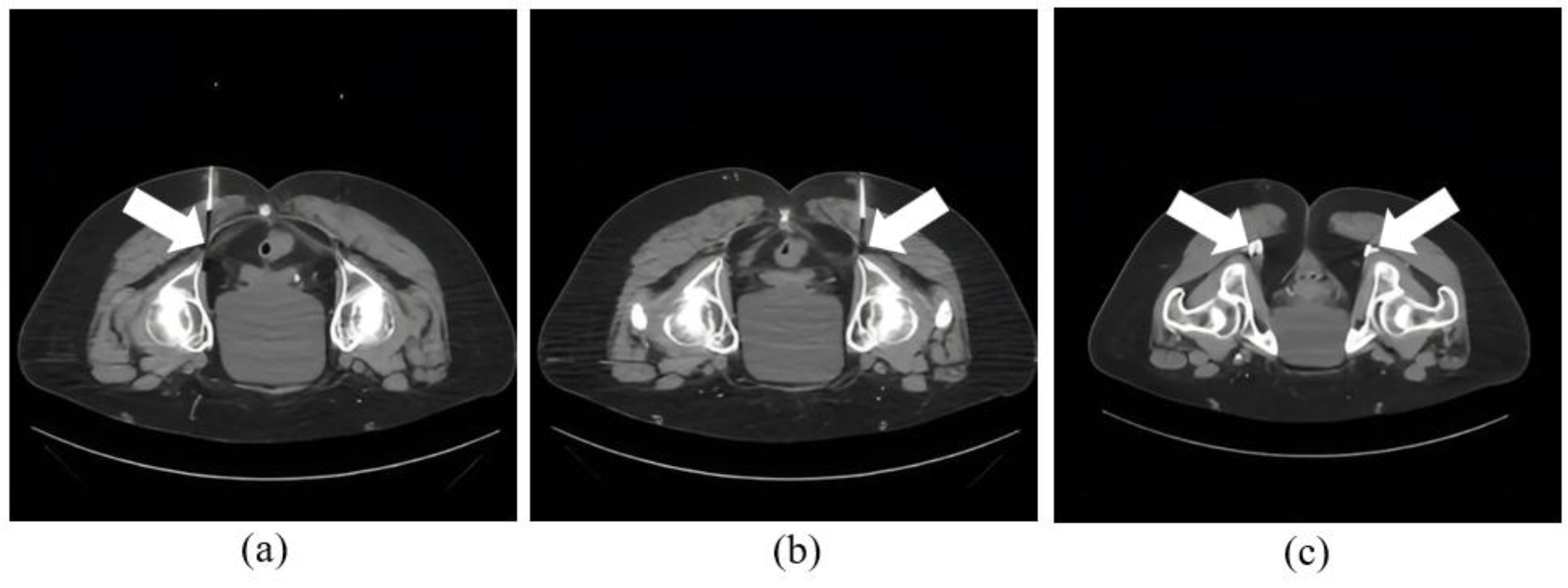 Preprints 171582 g002