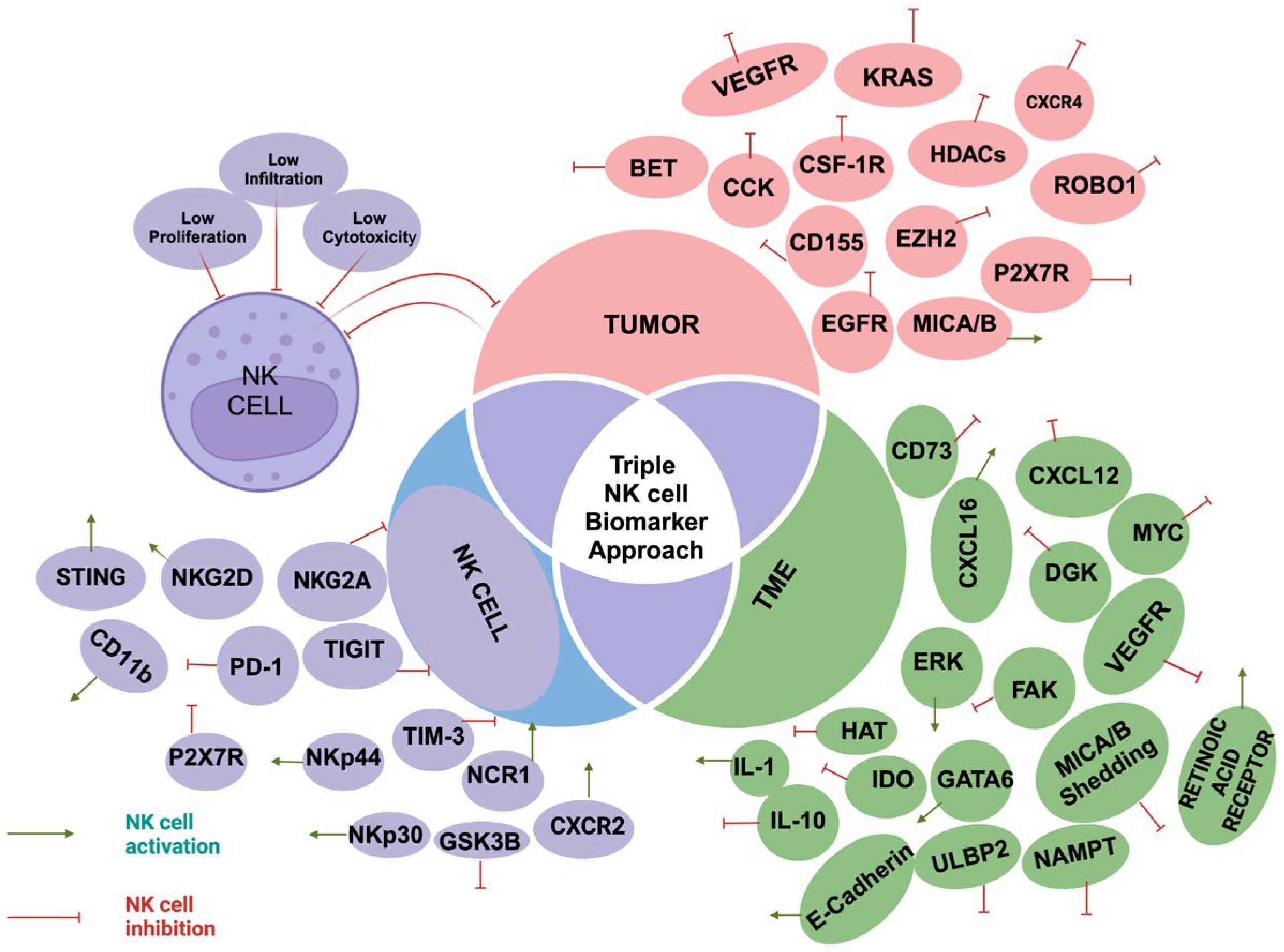 Preprints 142772 g001
