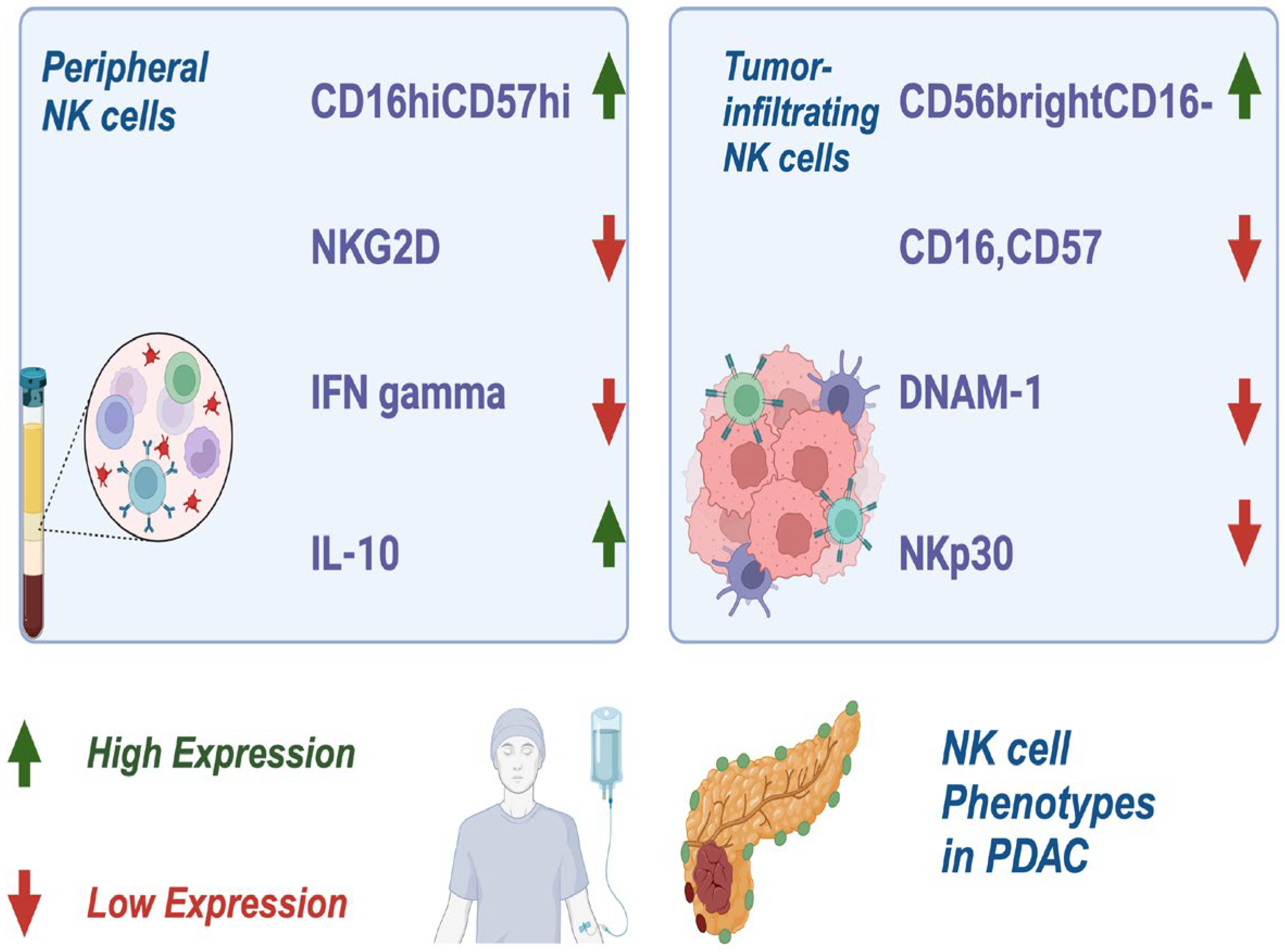 Preprints 142772 g002