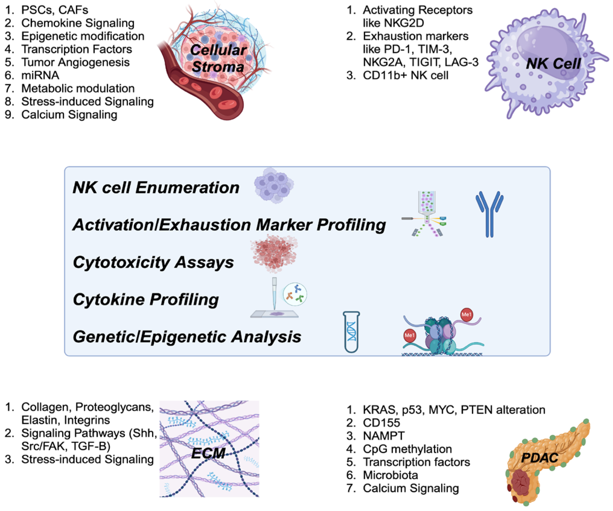 Preprints 142772 g003
