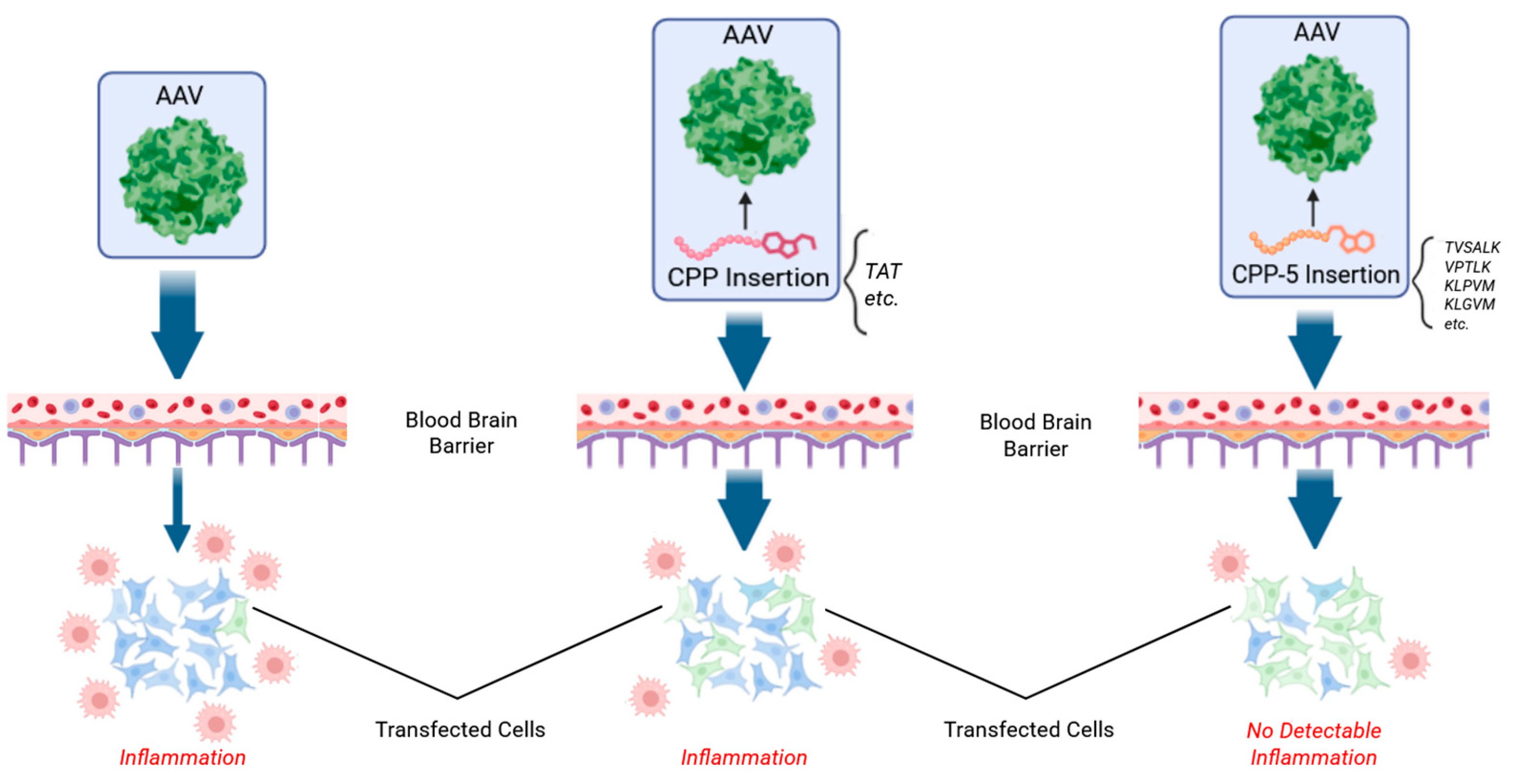 Preprints 191628 g001