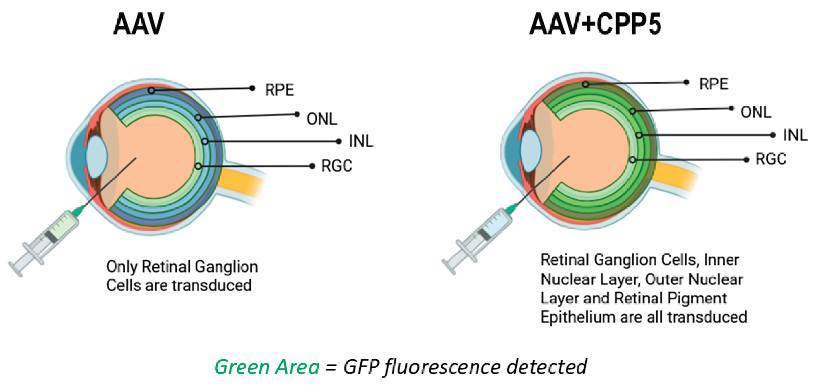 Preprints 191628 g002