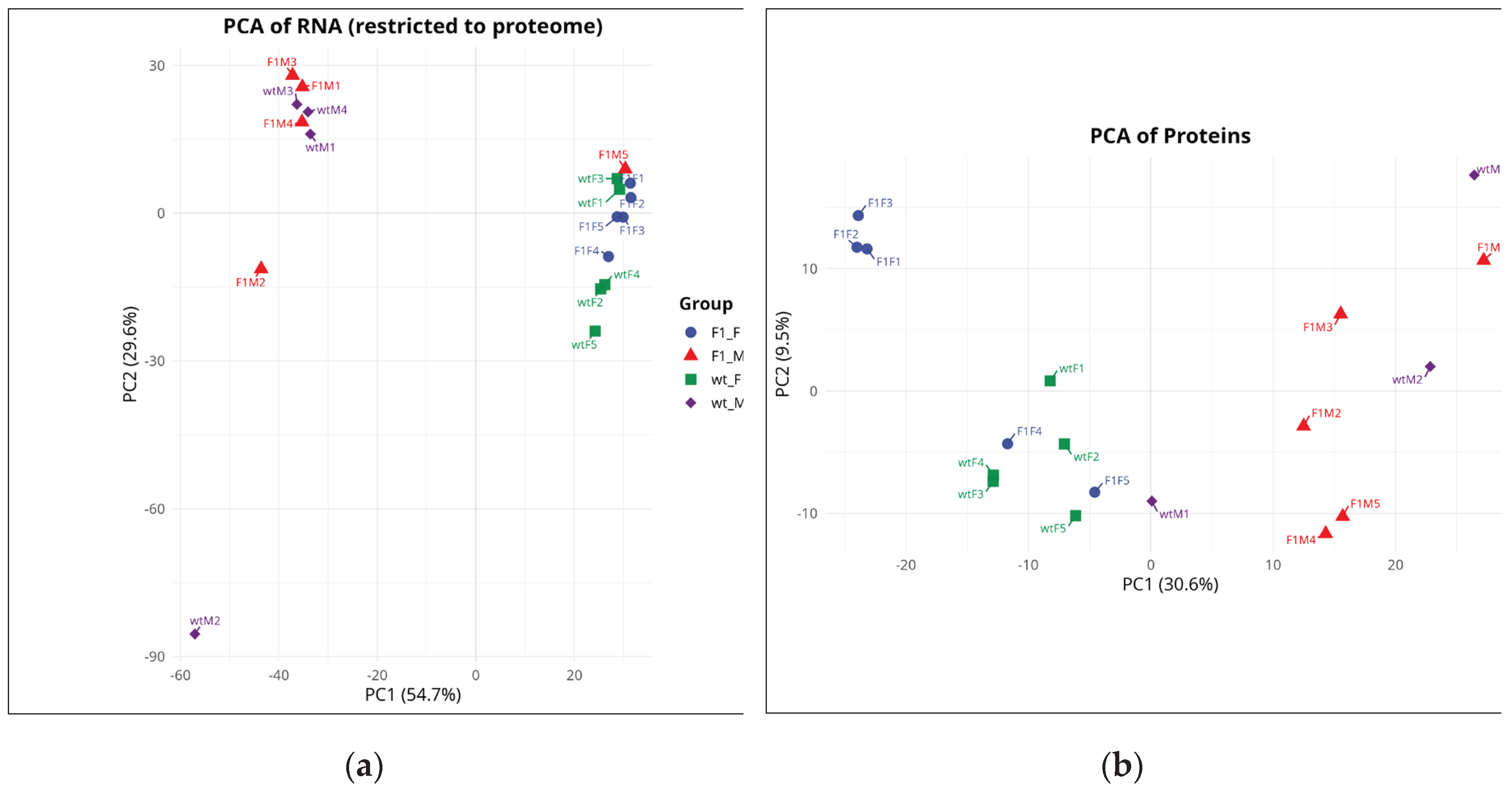 Preprints 195547 g001