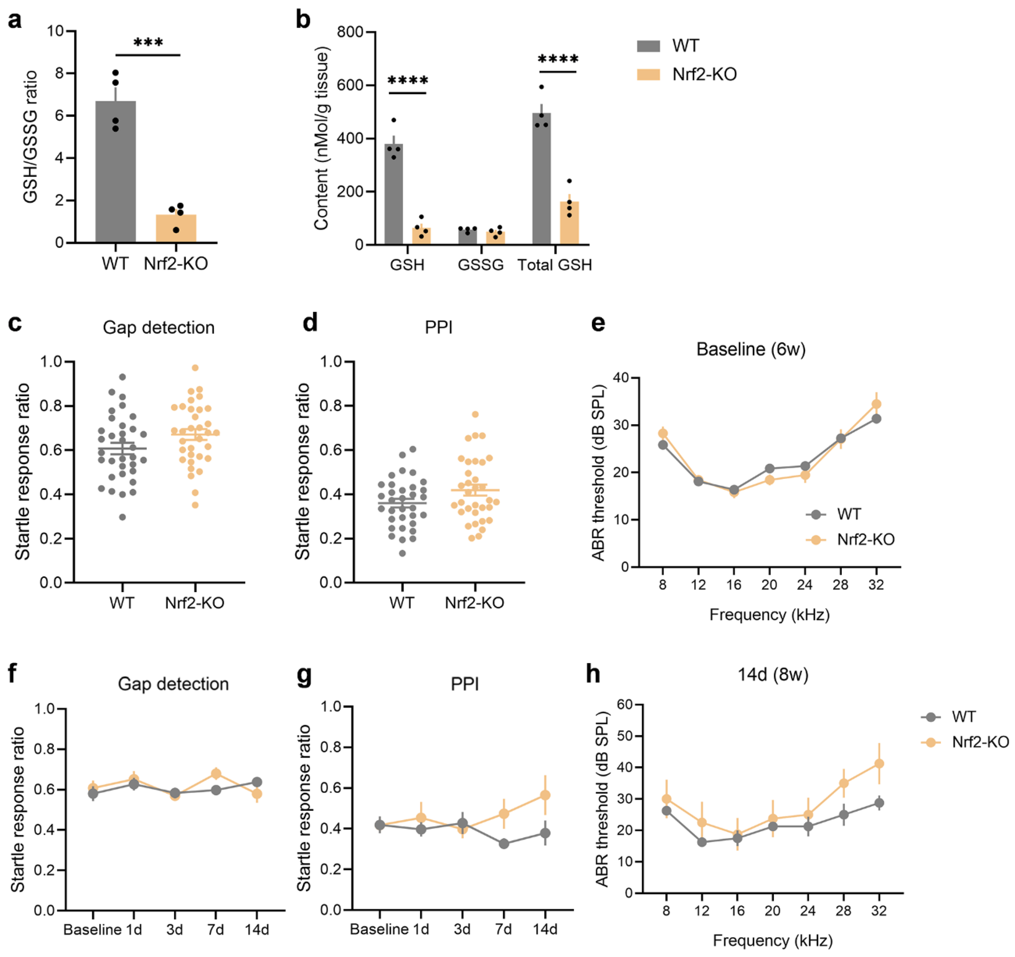 Preprints 143832 g003