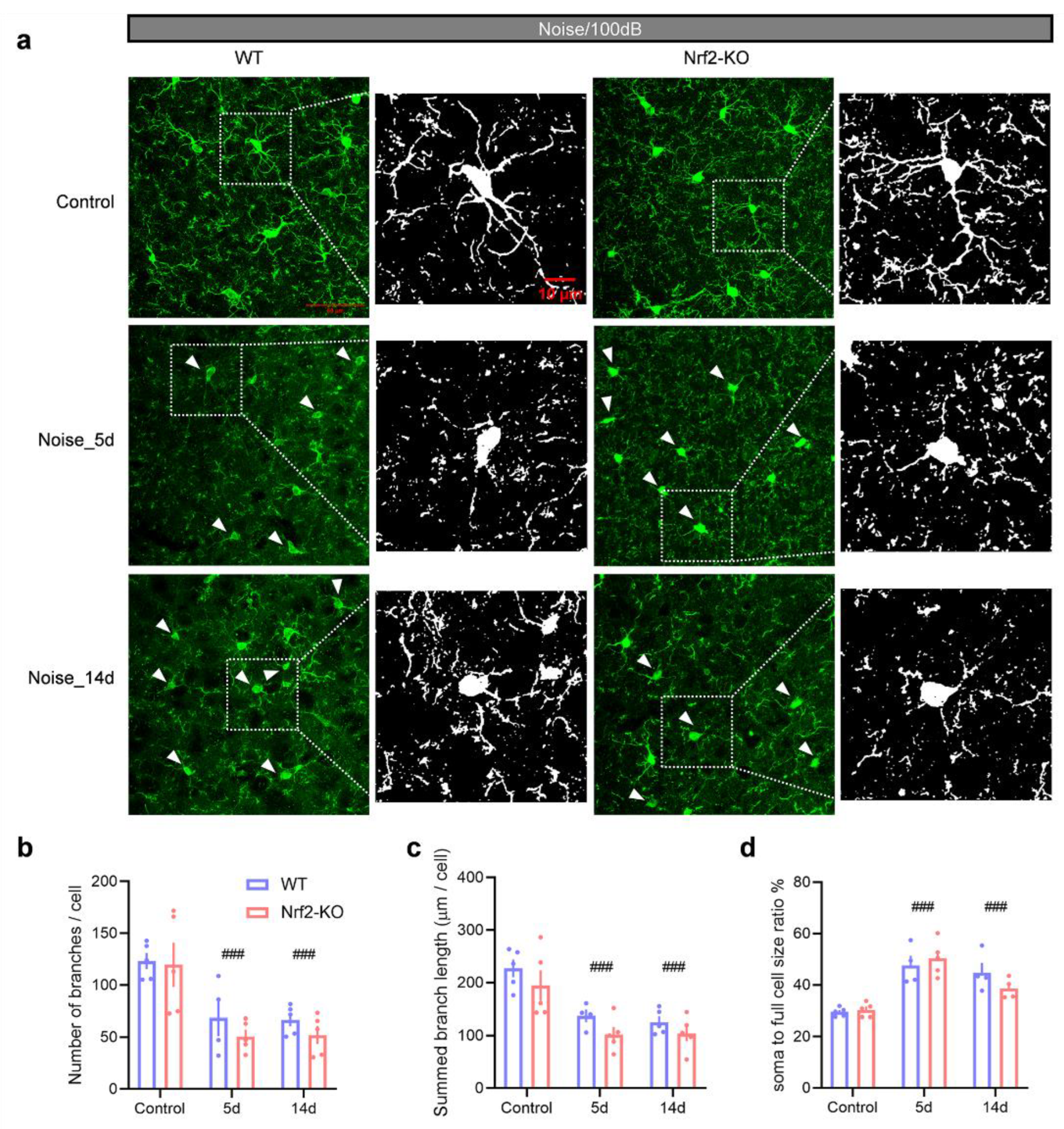 Preprints 143832 g006